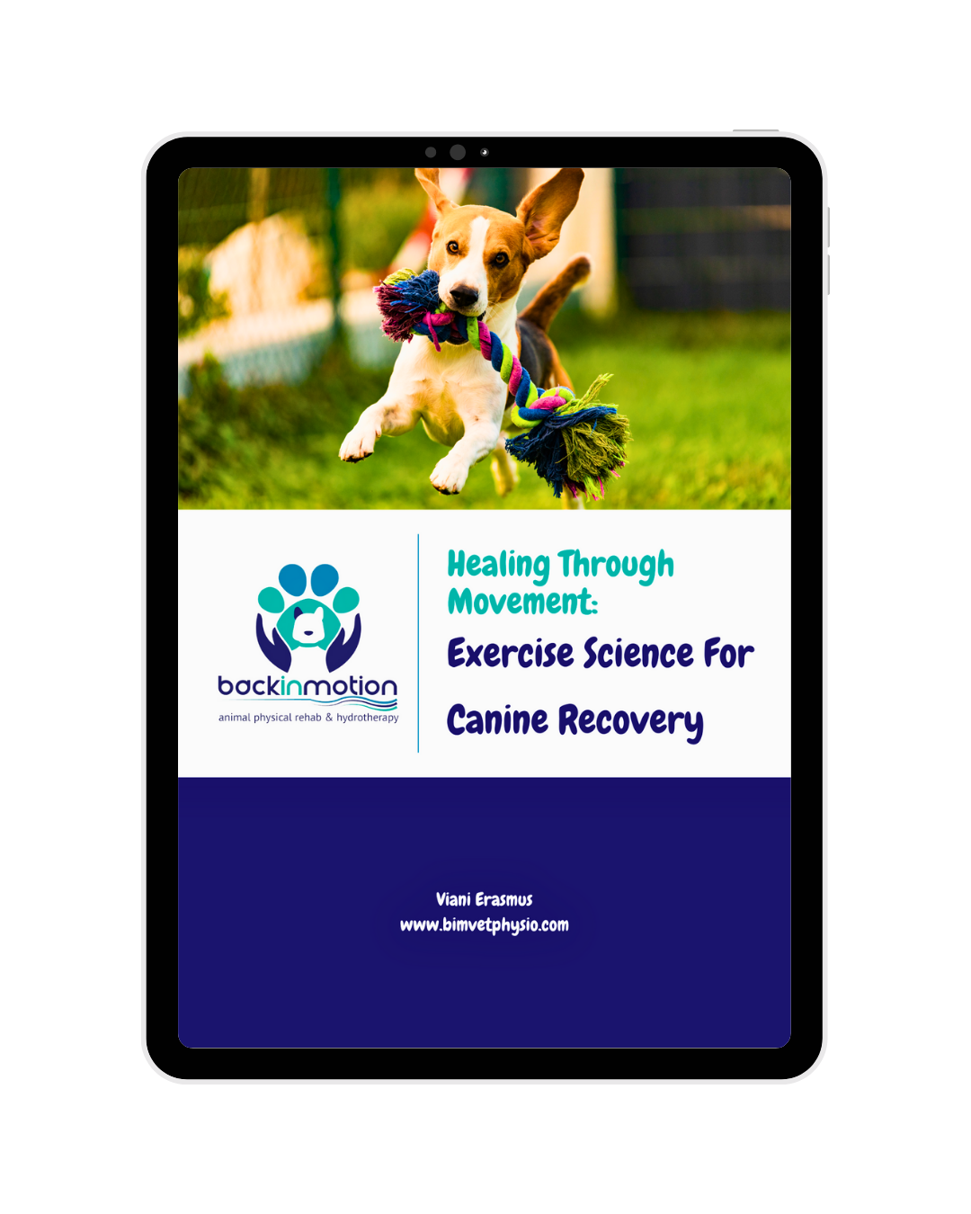 dog physiotherapy exercises for recovery and rehabilitation