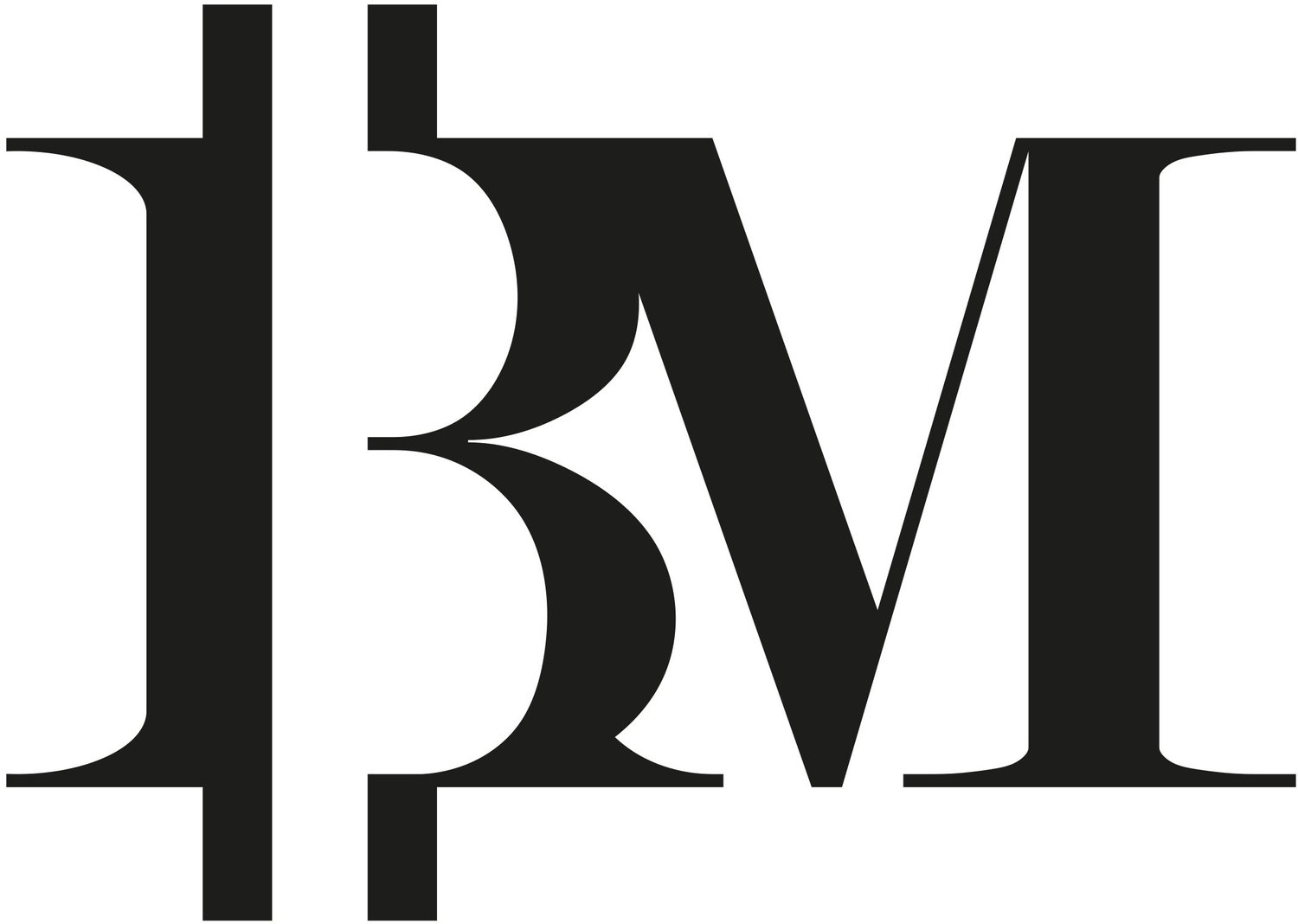 BM Jet - Luxury in the Sky