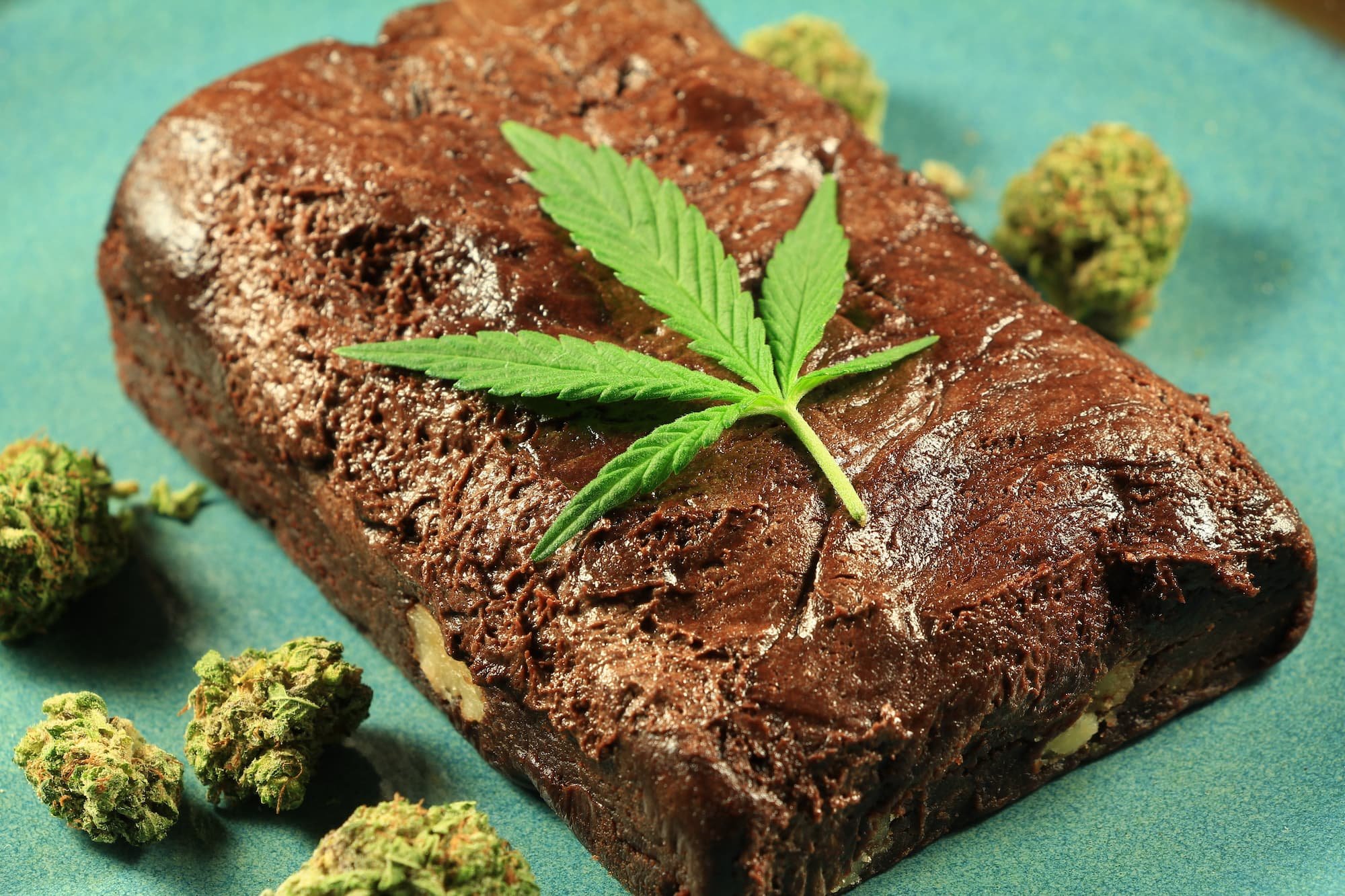 Props to the weed brownie.