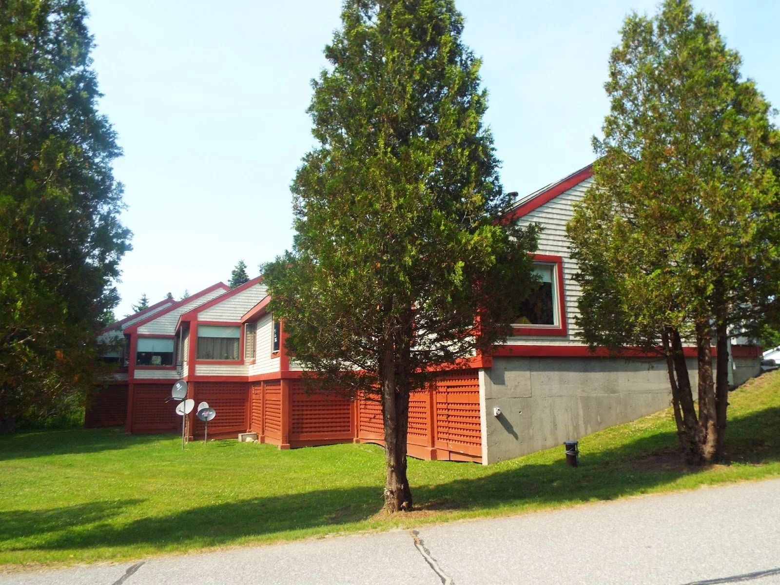 birchwood.JPG