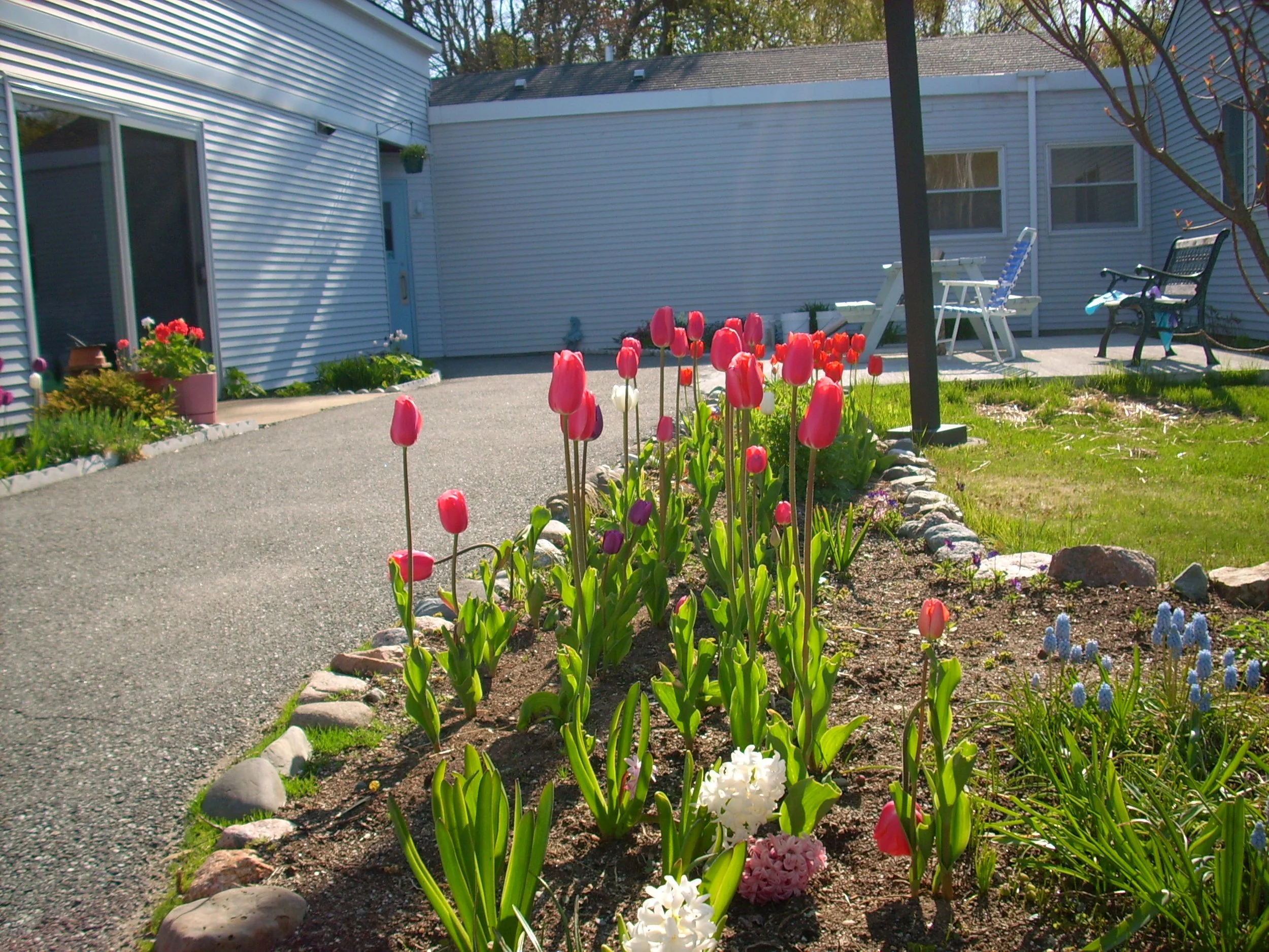 Maple Lane 5-14-08 005.jpg