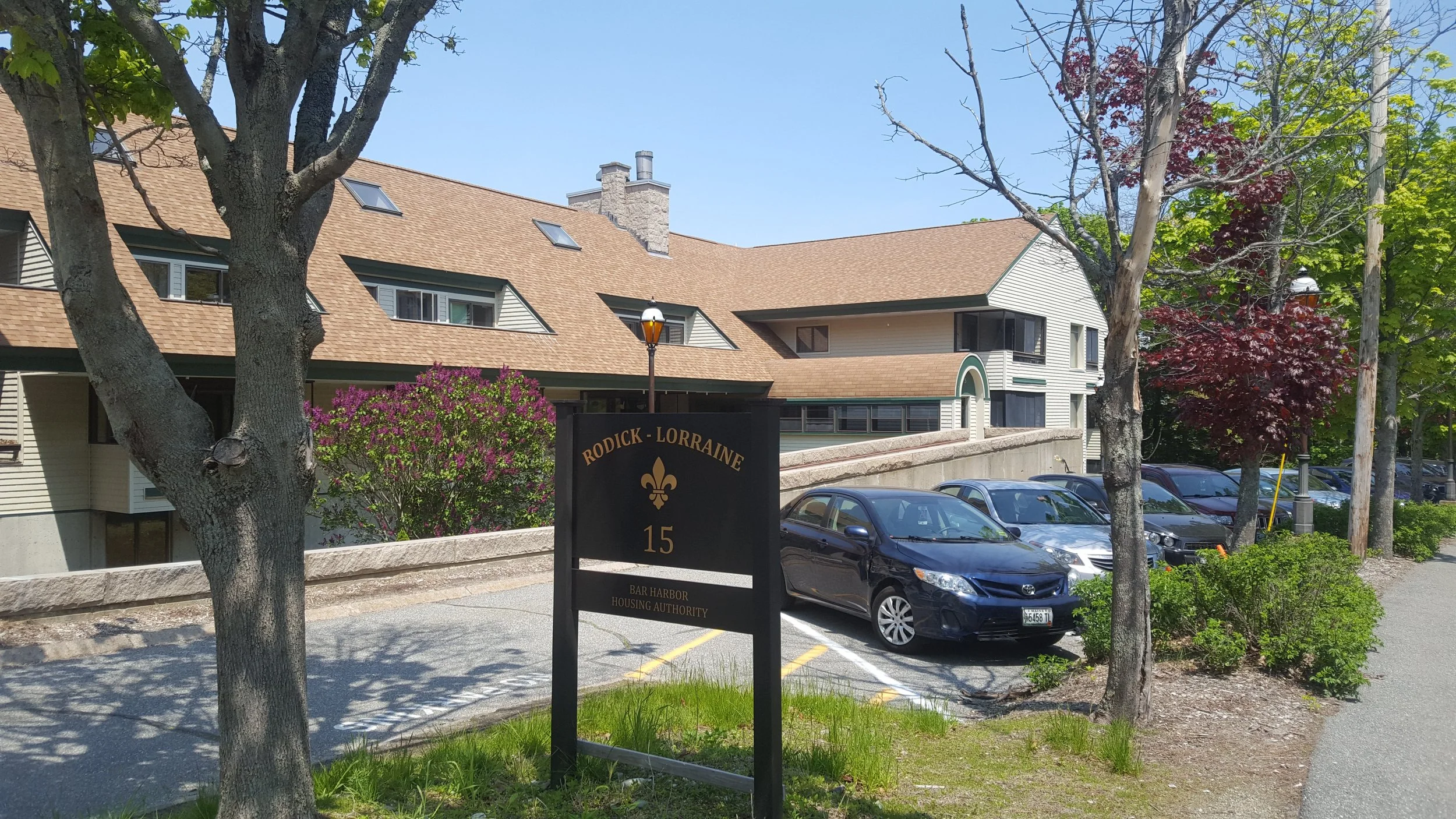 20190603_130409.jpg