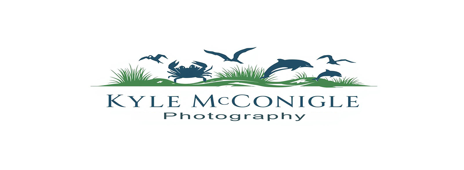 Kyle McGonigle, Eastern Shore Nature &amp; Wildlife Photographer
