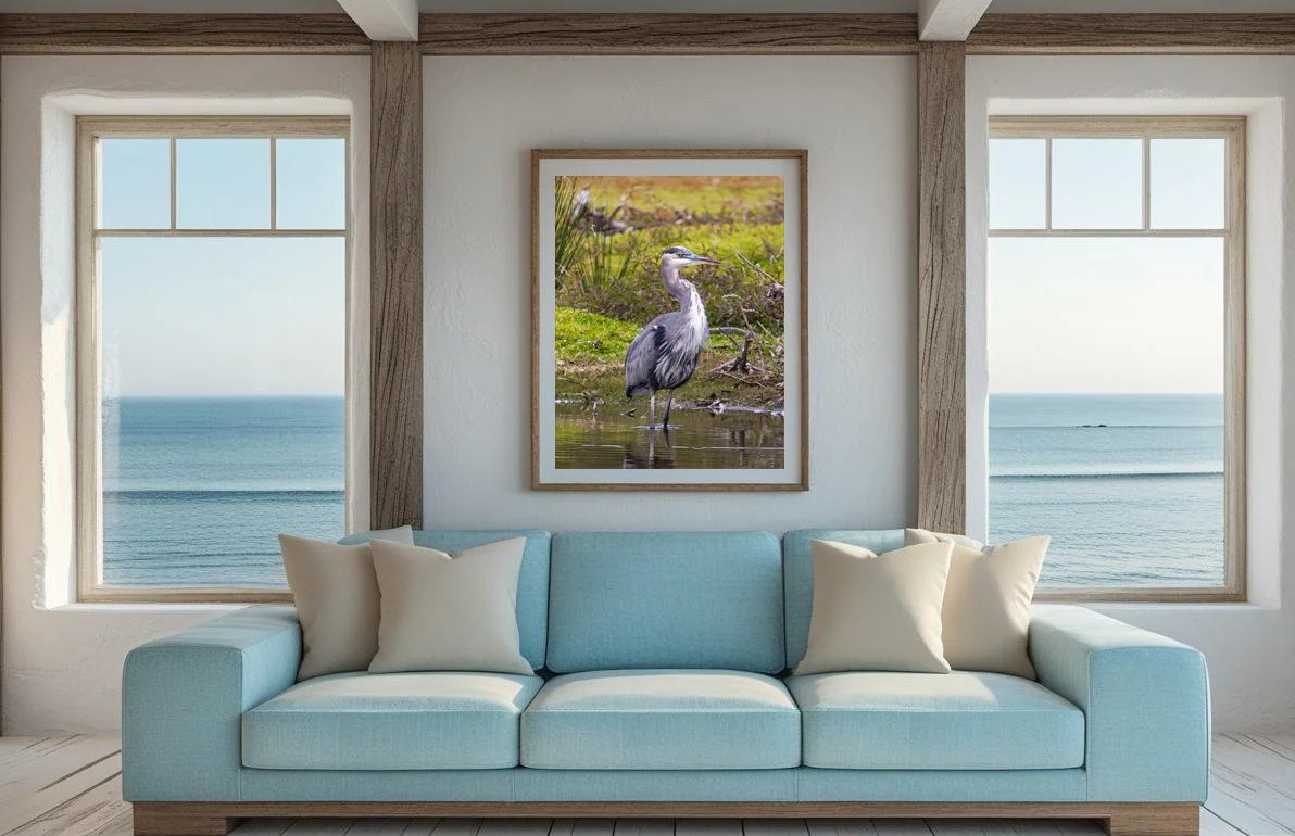 Regal Blue (Blue Coastal).jpg