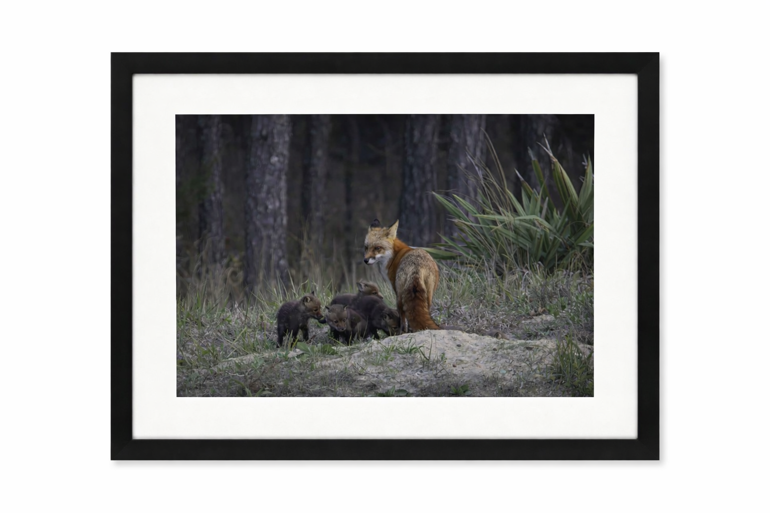 Mama Fox in 12x18 frame.png