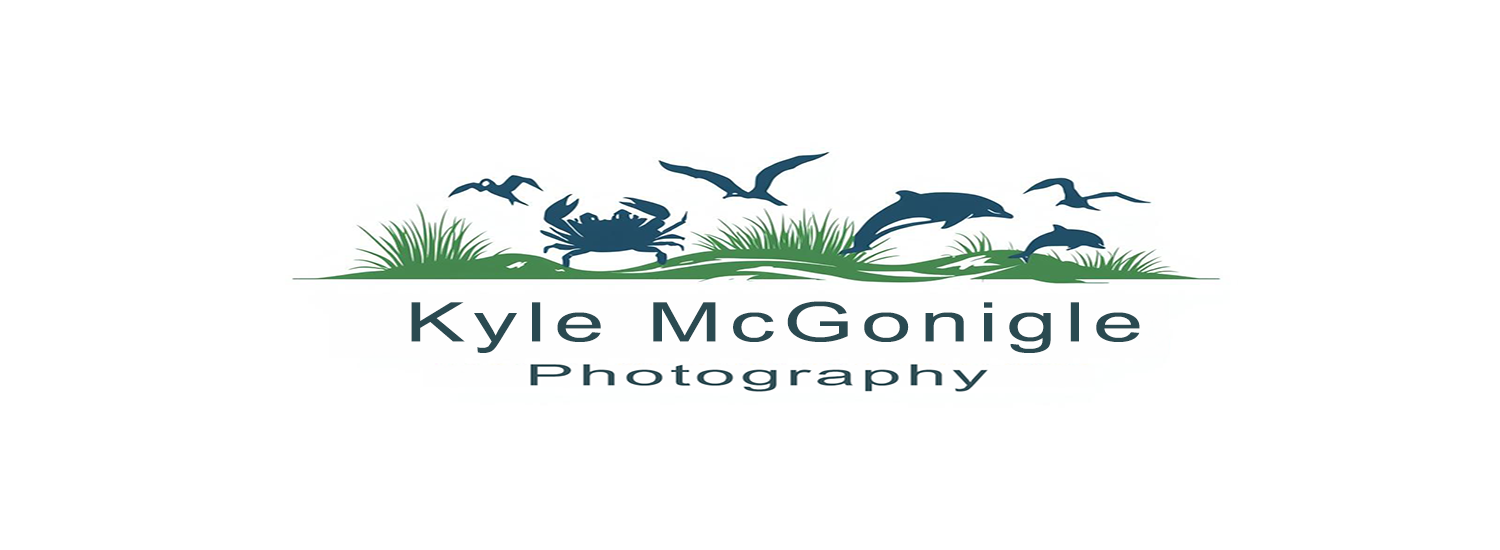 Kyle McGonigle, Eastern Shore Nature &amp; Wildlife Photographer