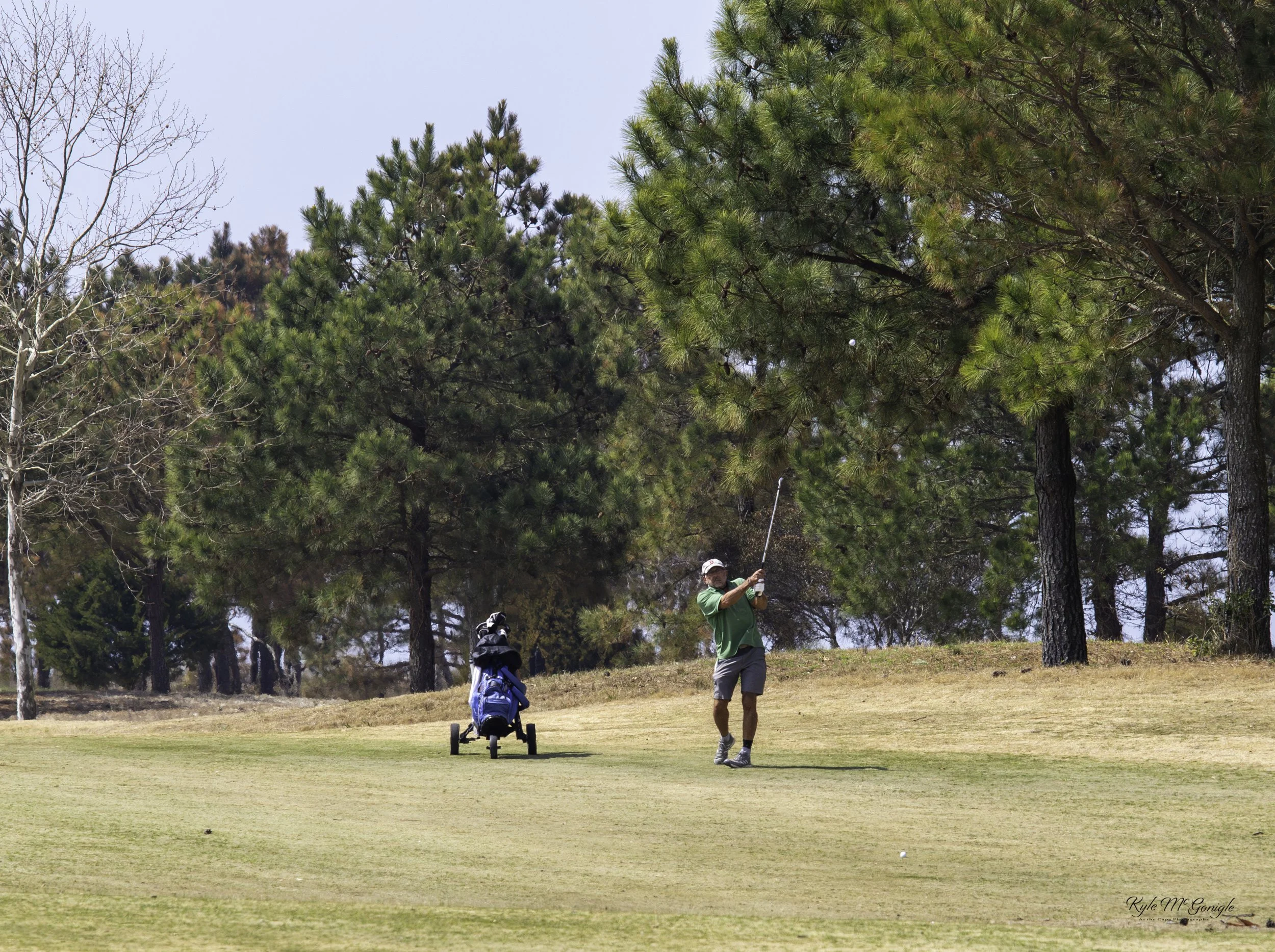 Bill T approach to Nicklaus 8 green