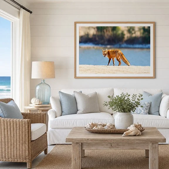 Red Fox (Coastal Room).jpg