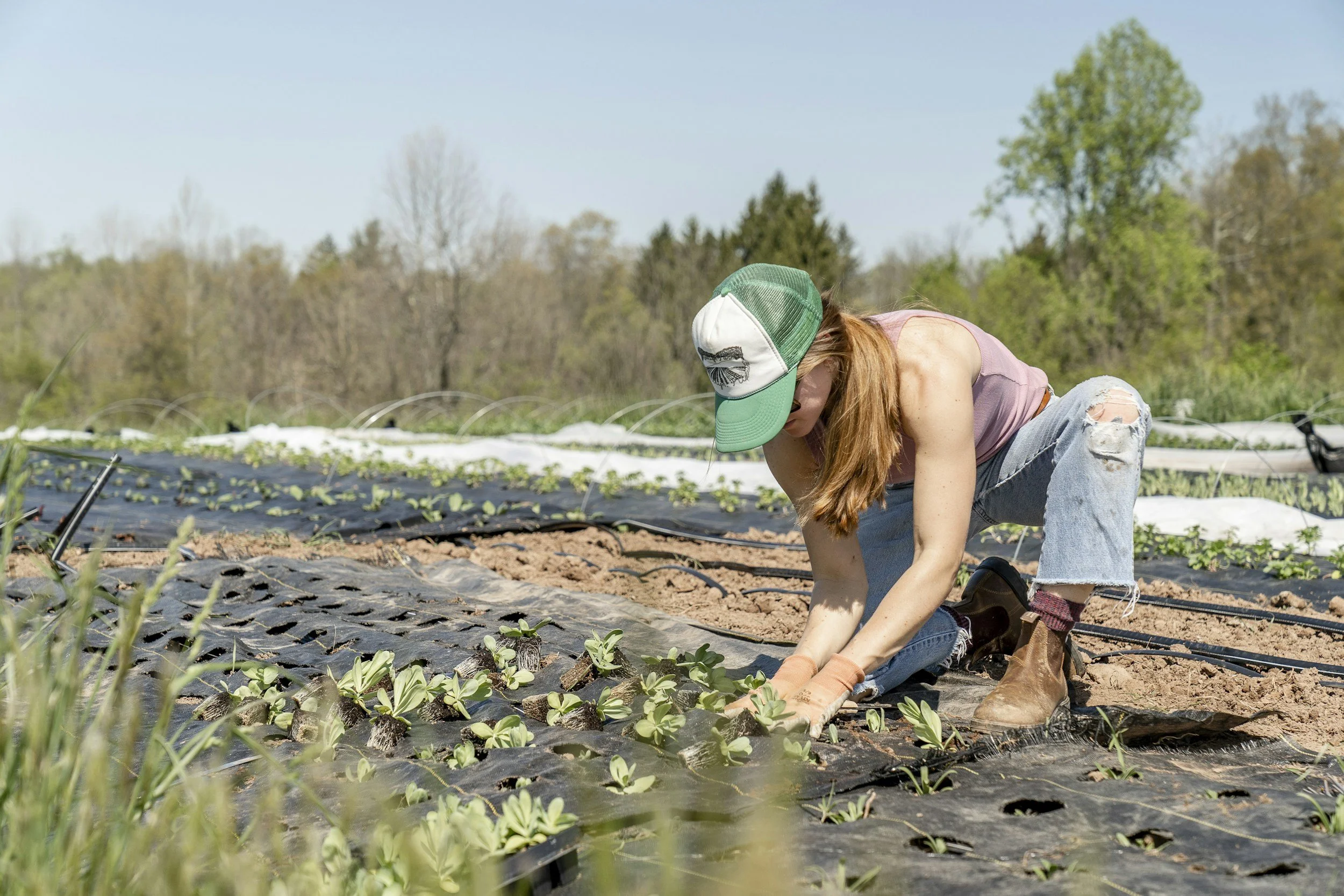 farmer tending to plants