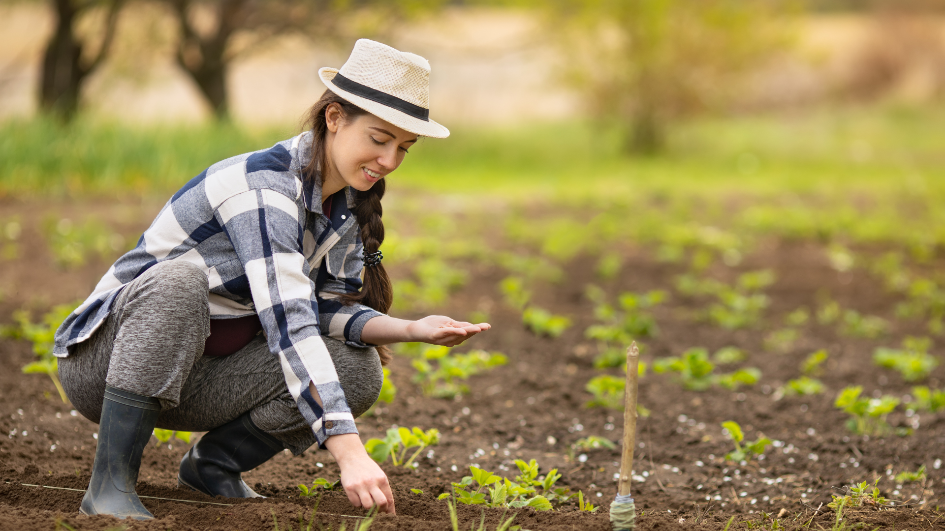 farmer planting seeds in row