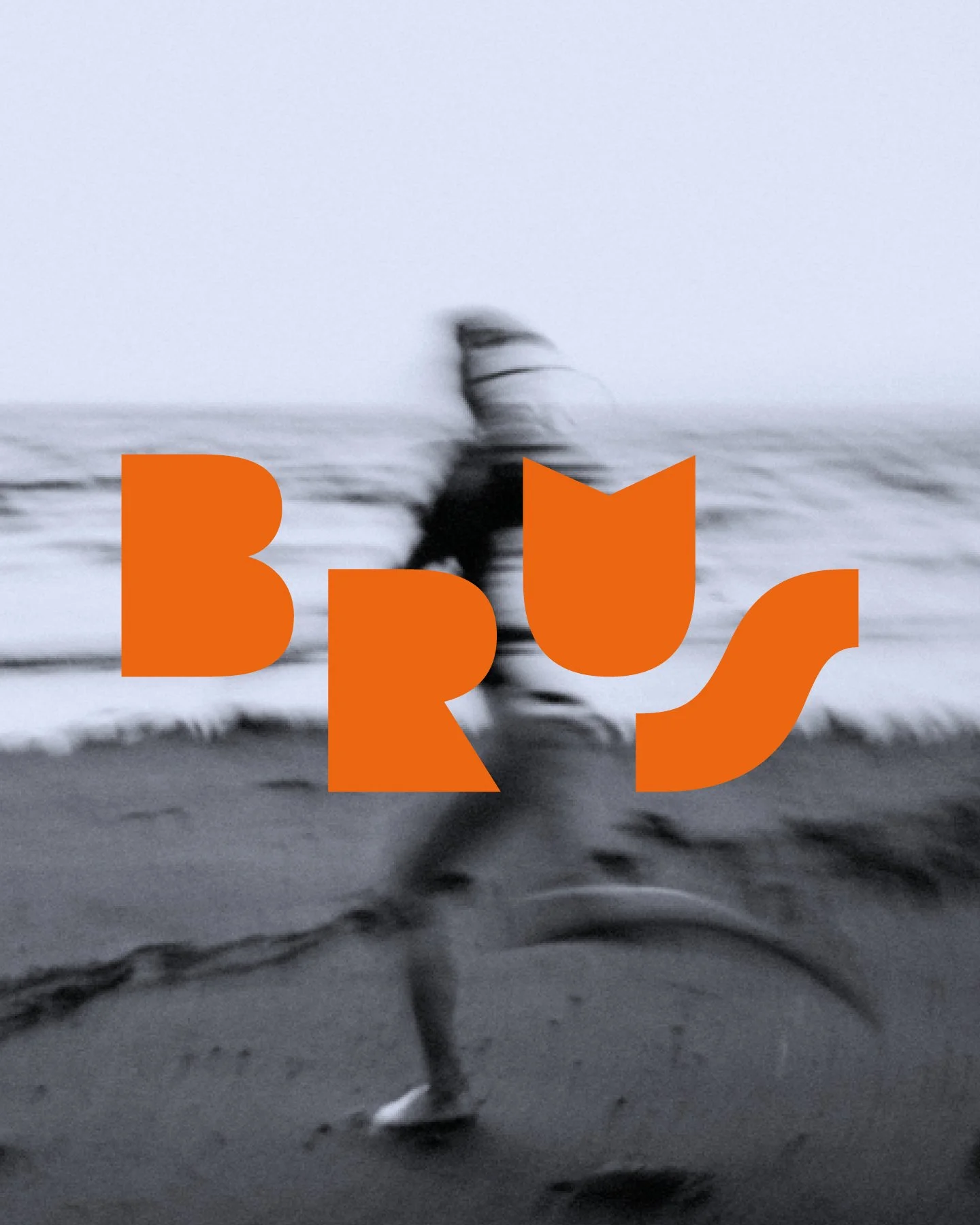BRUS.jpg