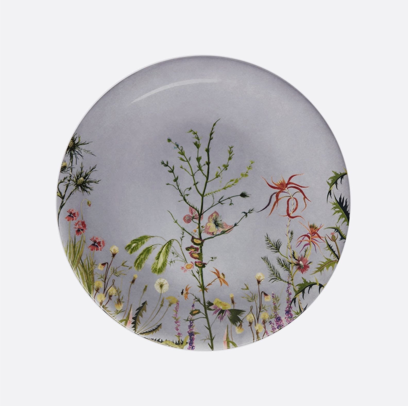 ass plate 2.jpg