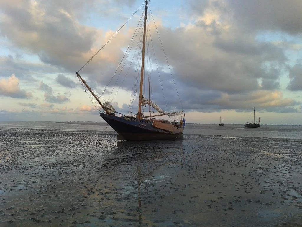 Waddengeest droog bij Ameland.jpg