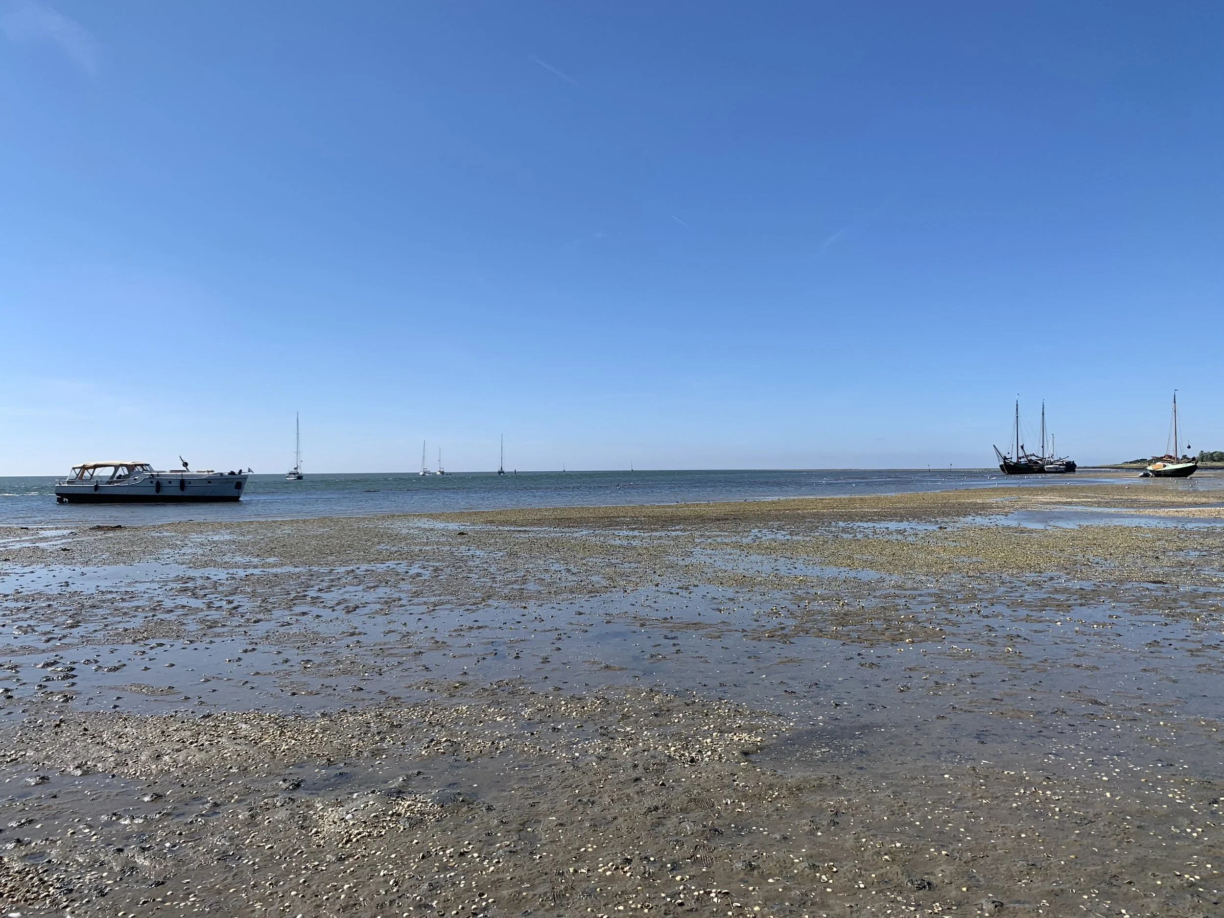7E0B6E96-D055-4654-B501-AA4B770C6252.jpeg