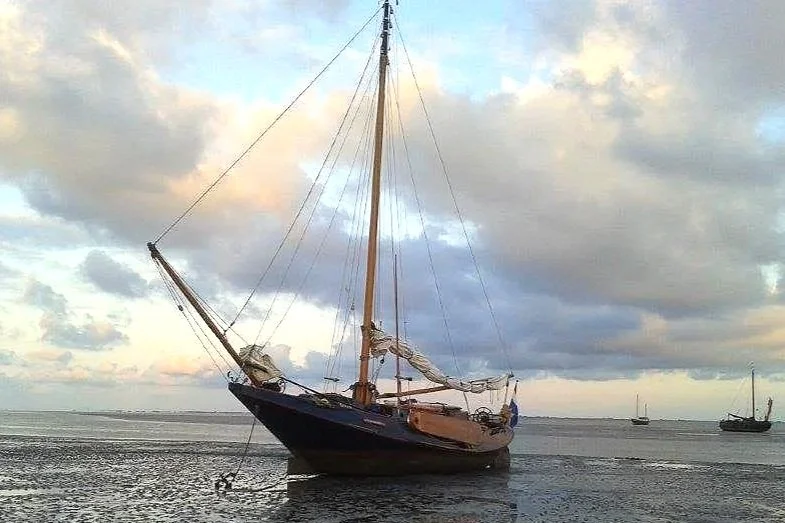 Waddengeest droog bij Ameland