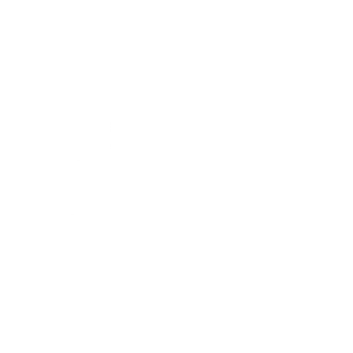 DM WEBSITE LOGO (1).png