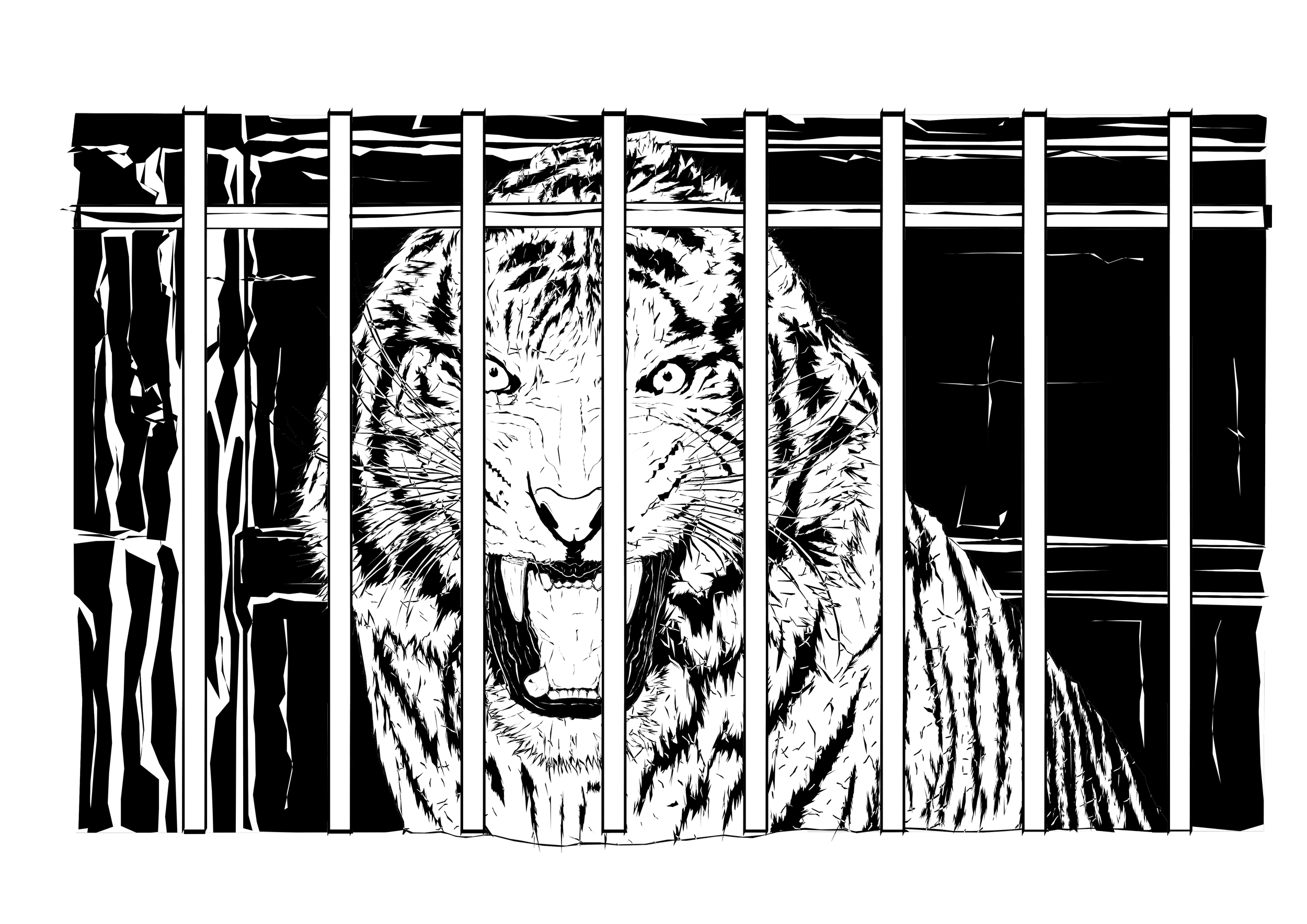 High-contrast black-and-white illustration of a tiger behind vertical jail bars