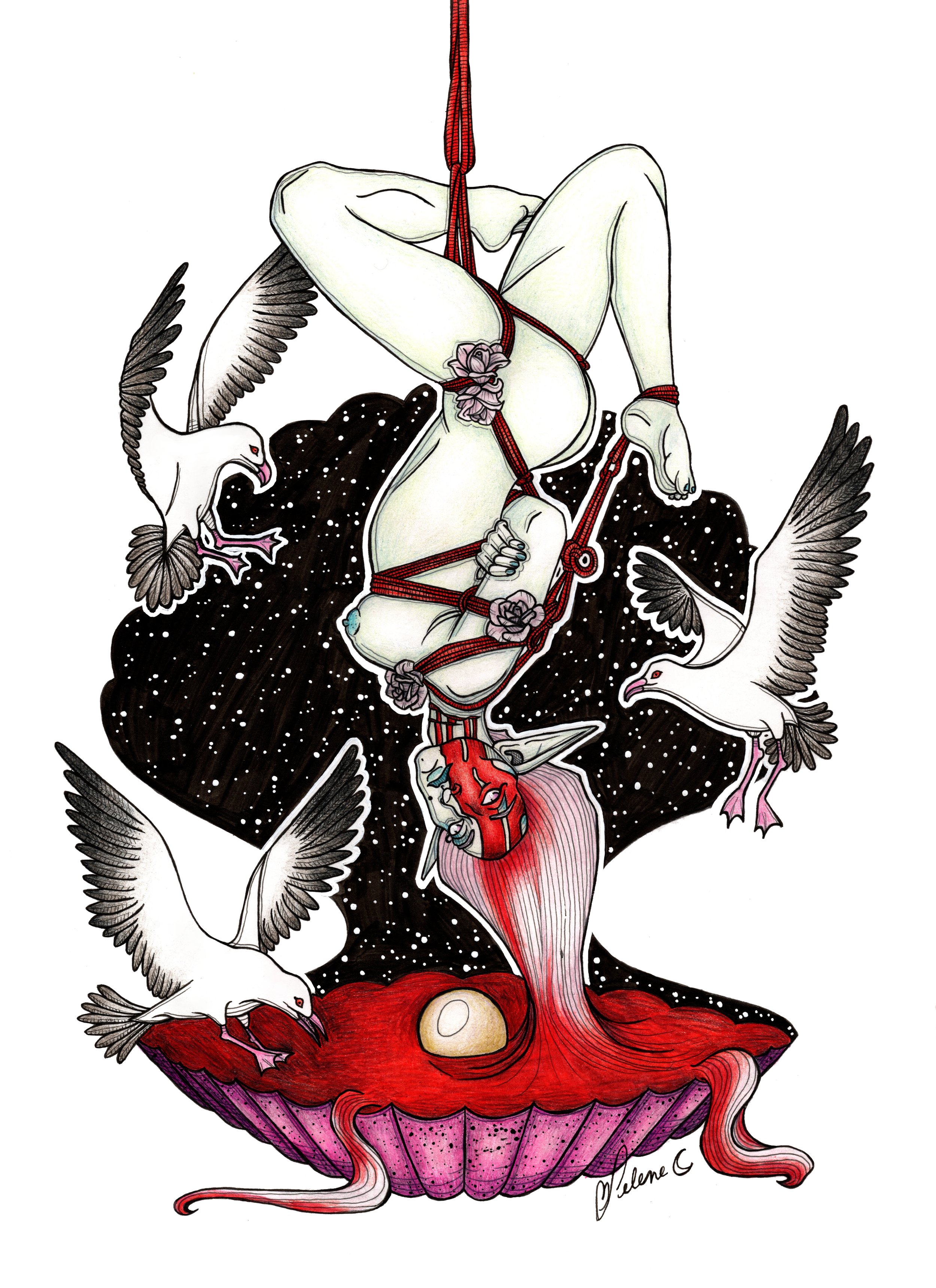 The Death of Venus
(December 2025)
