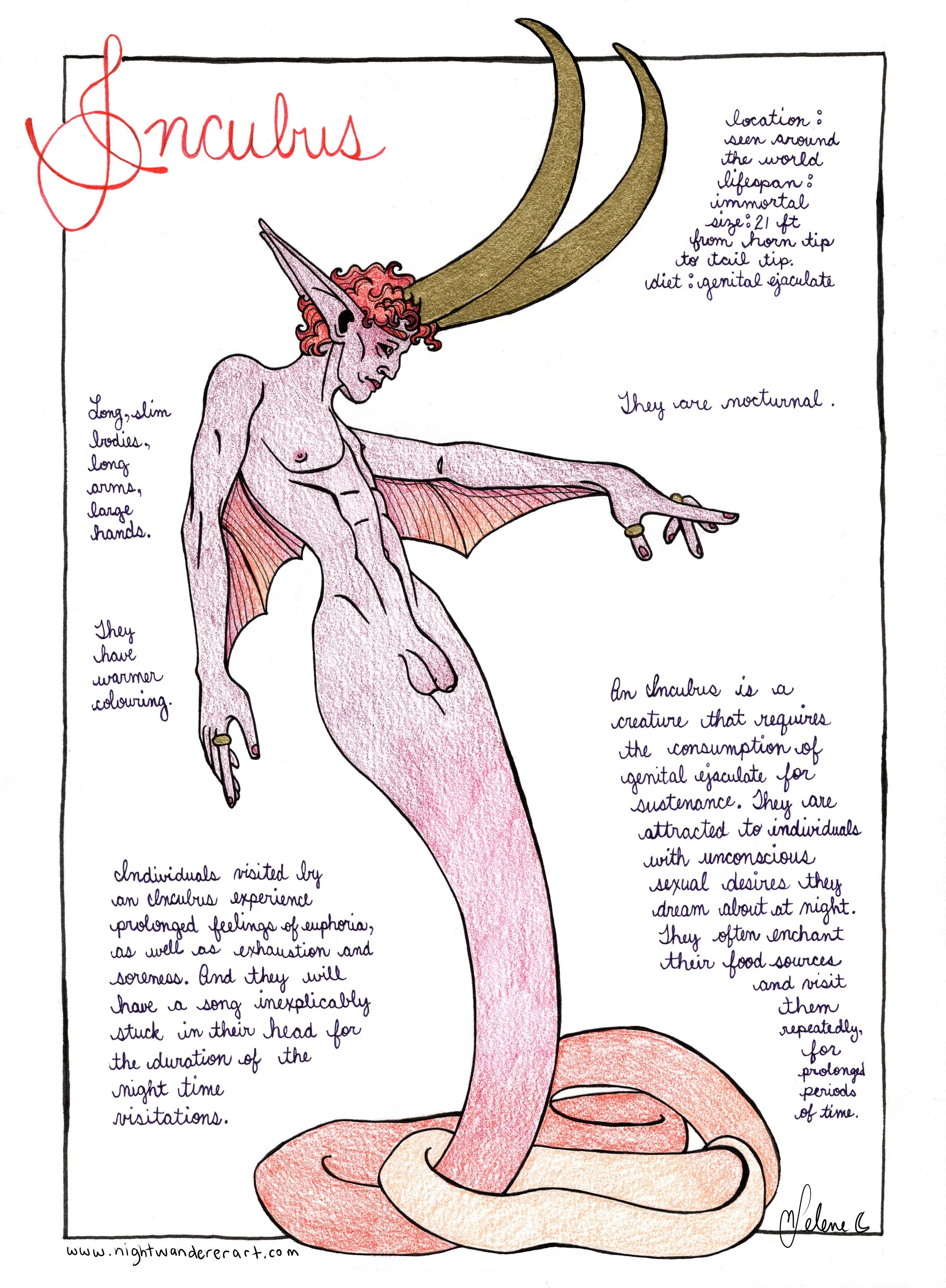 B6 Incubus May 2026.jpg