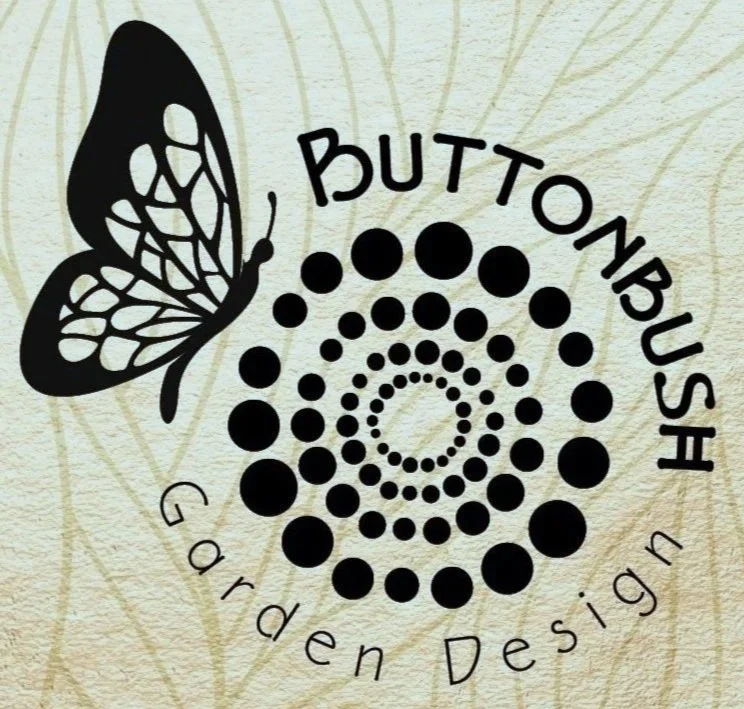 Buttonbush Garden Design