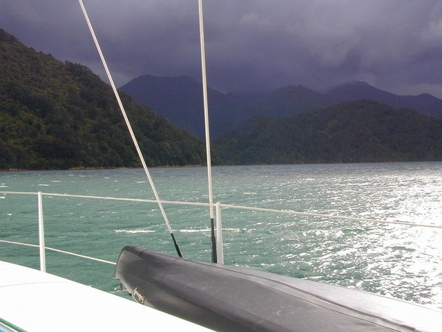 IMG_0993.JPGc.jpeg