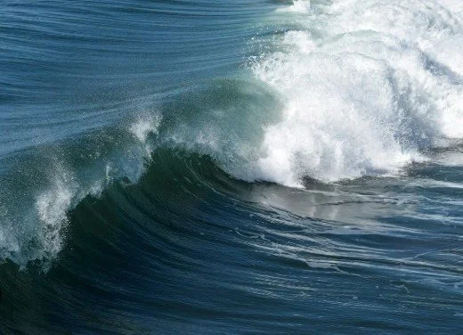 Tideline image 4.jpg