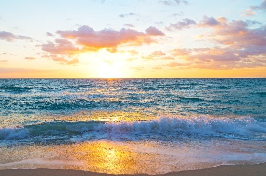 Tideline image 3.jpg