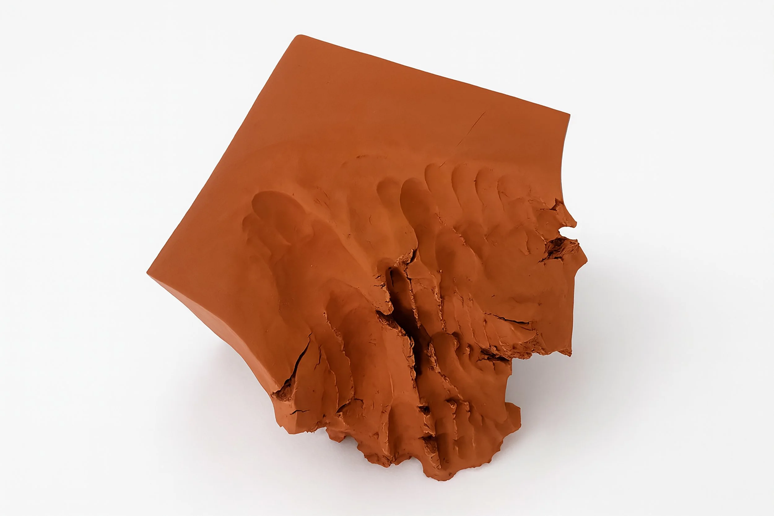 Eve Laroche-Joubert_Foot Fall_2024_image 03.jpg