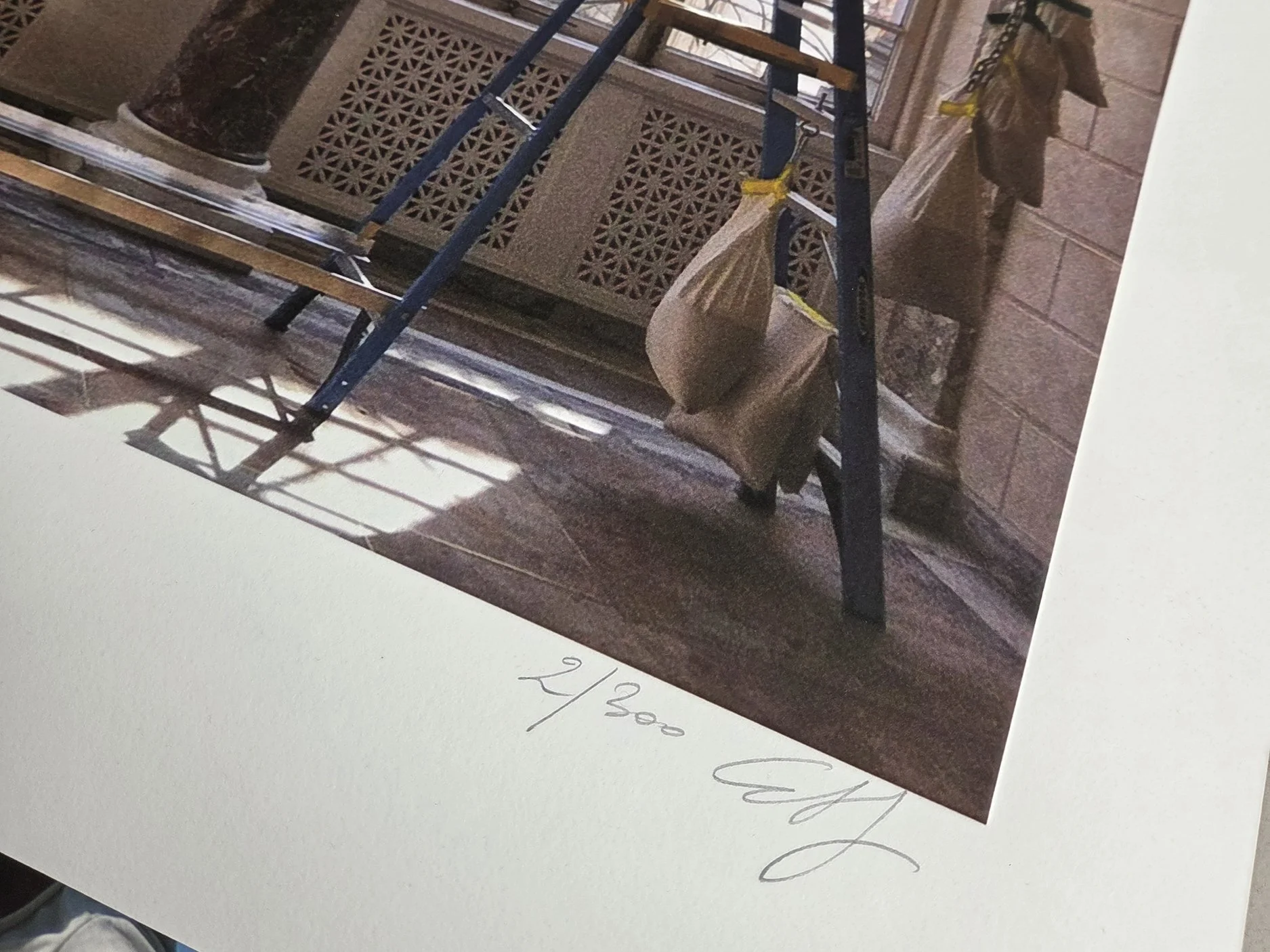 Eve Laroche-Joubert_Rising Awareness_print_signature.jpg