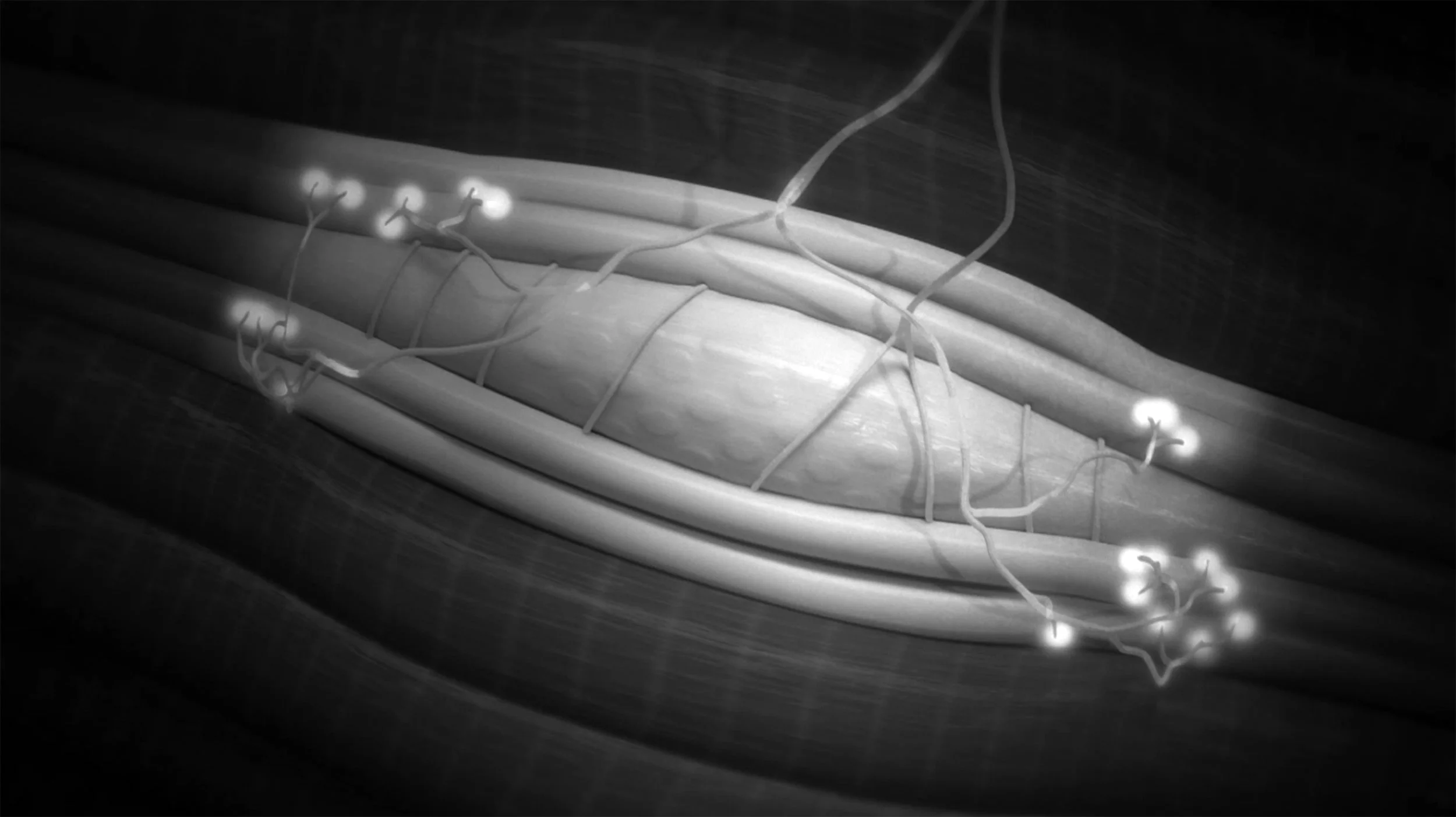 Eve Laroche-Joubert_proprioception_image clip.jpg