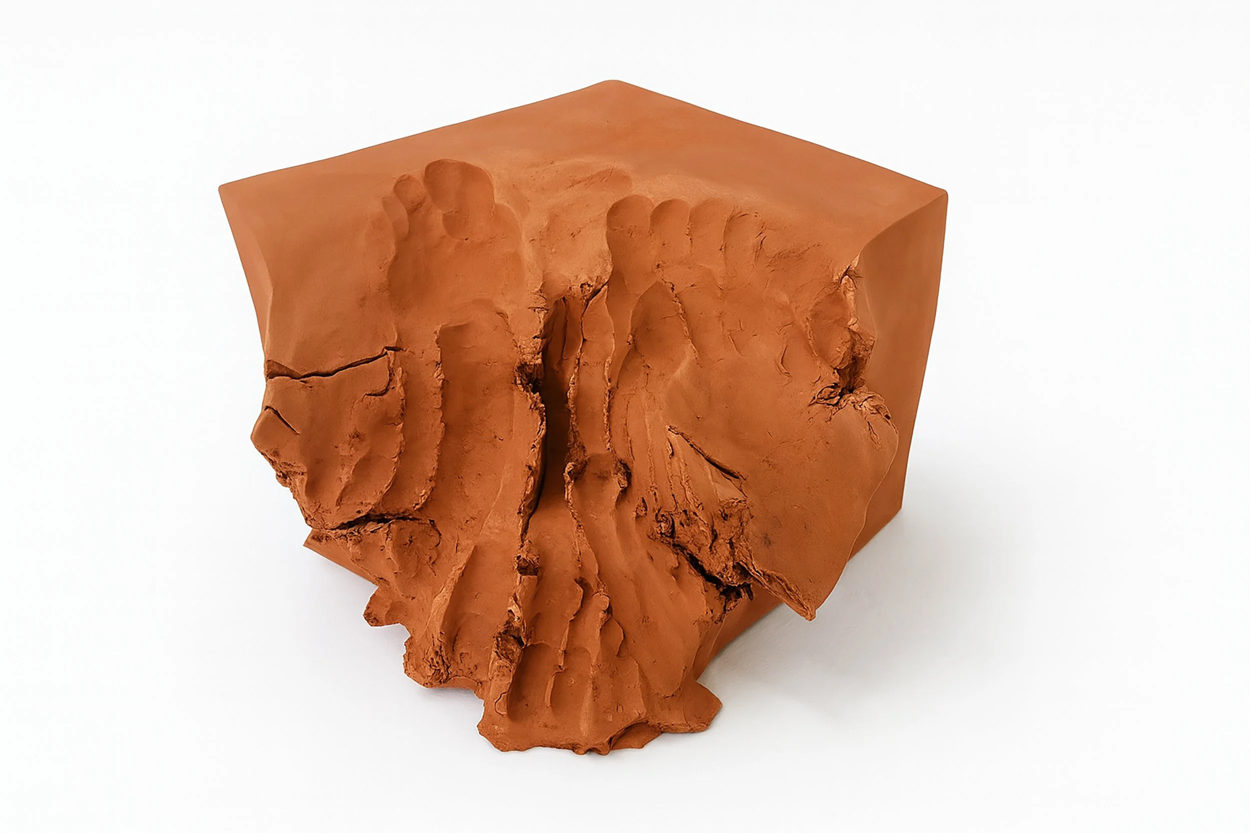 Eve Laroche-Joubert_Foot Fall_2024_image 04.jpg