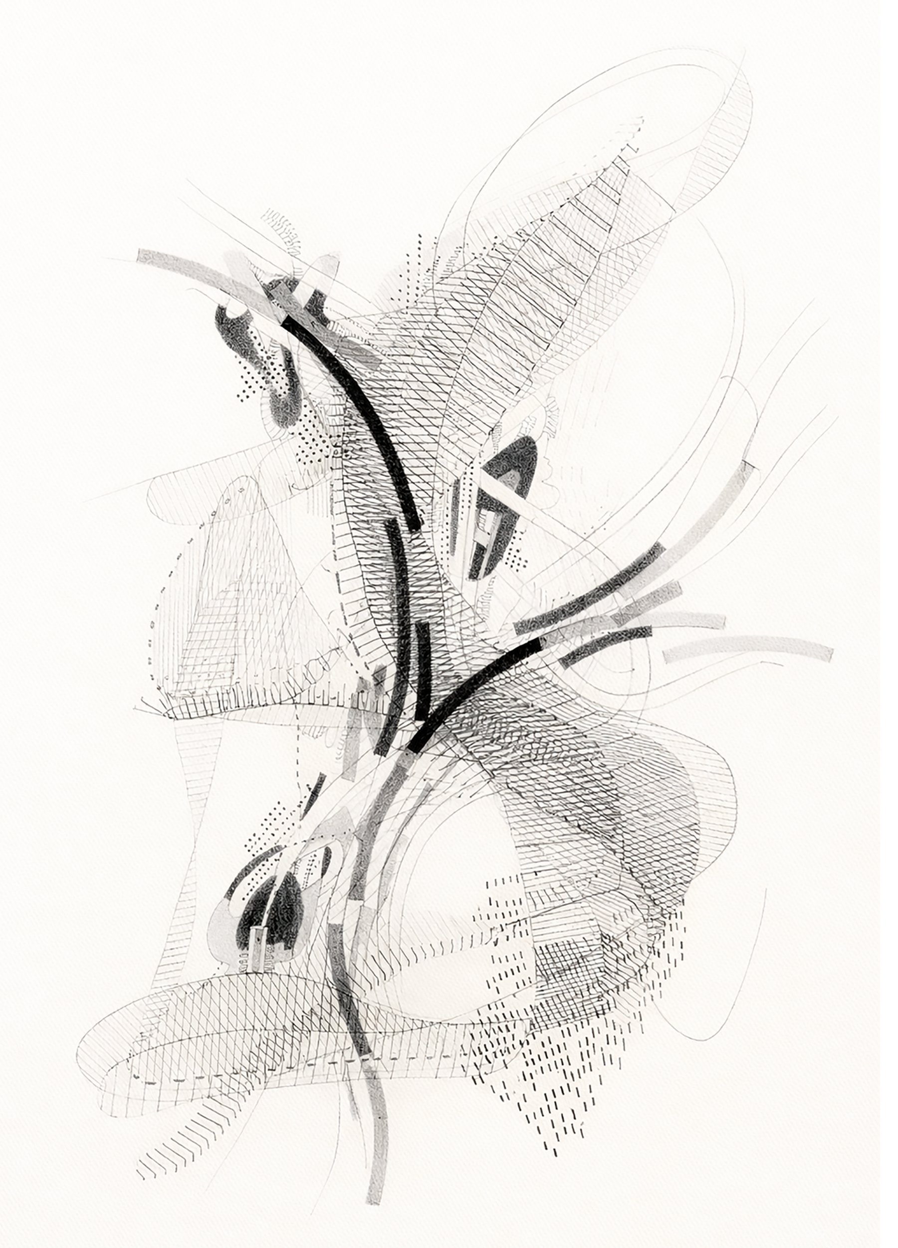 Eve Laroche-Joubert_Patterns Series_B.jpg