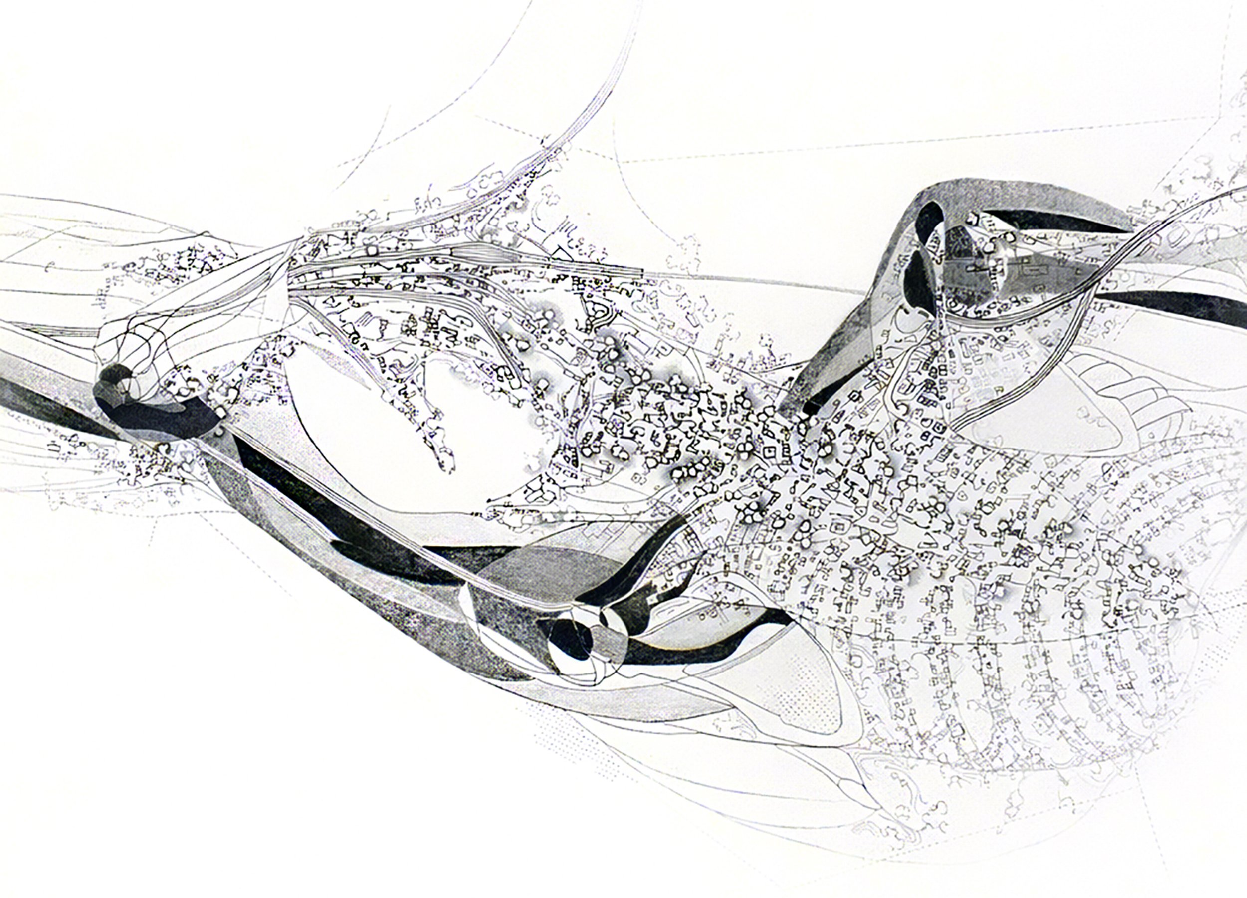 Eve Laroche-Joubert_Stances drawing_B_detail horizontal.jpg