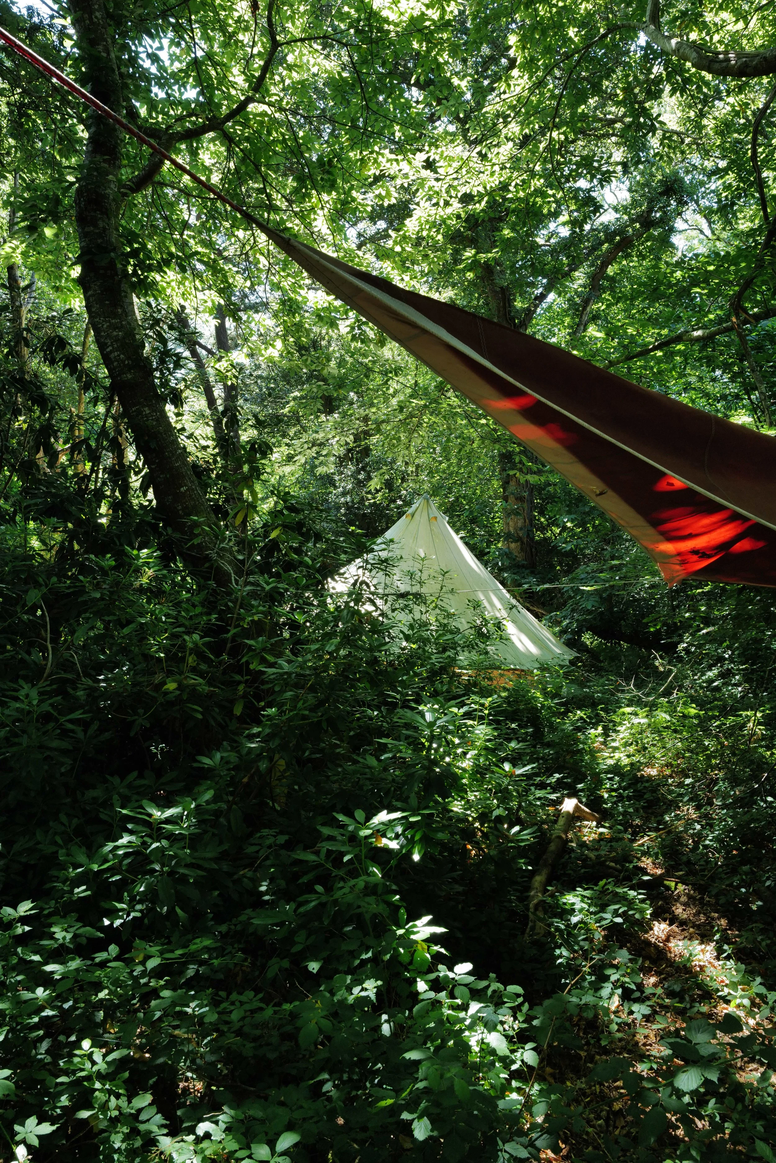 A tent set up in a lush green forest with sunlight filtering through the trees.