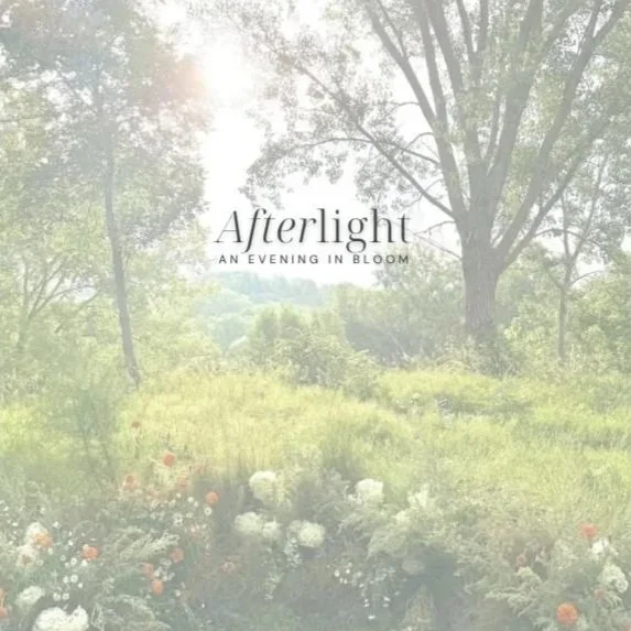 Afterlight_Cover+Image.jpg (Copy)