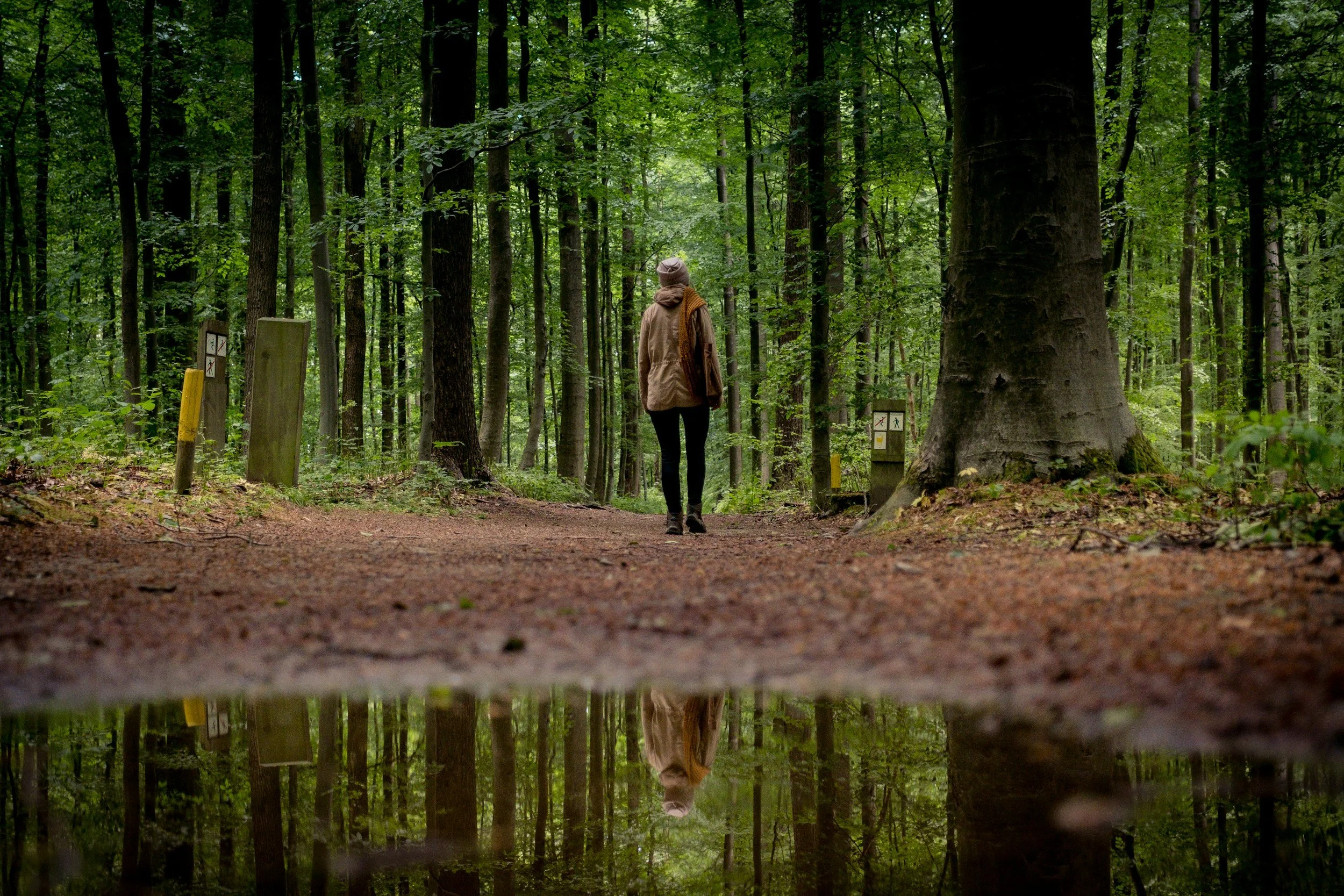 What Happens After Ayahuasca (And Why Many People Feel Lost)