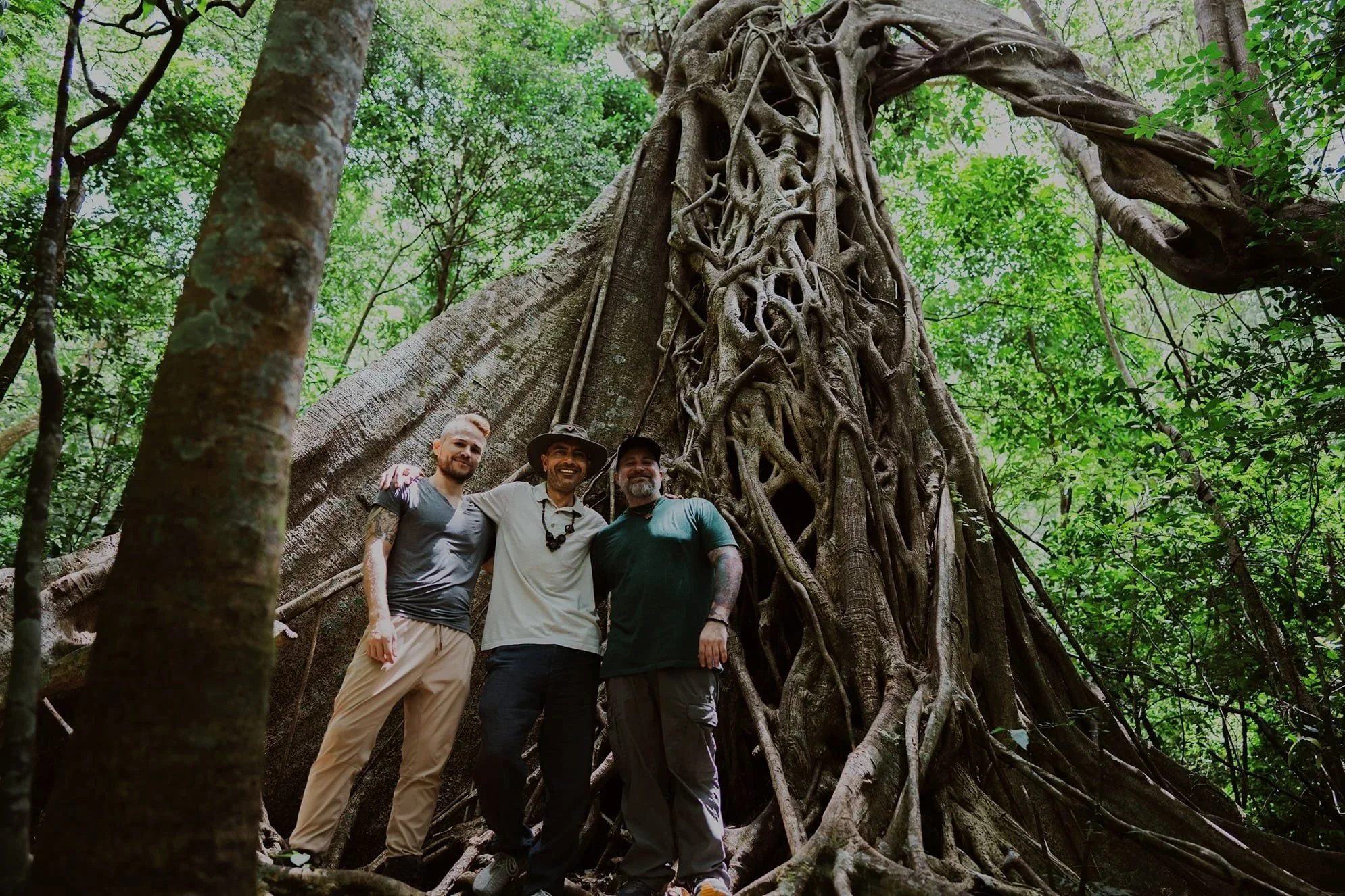 Three men standing in front of a large ancient tree with extensive roots and greenery in a forest.