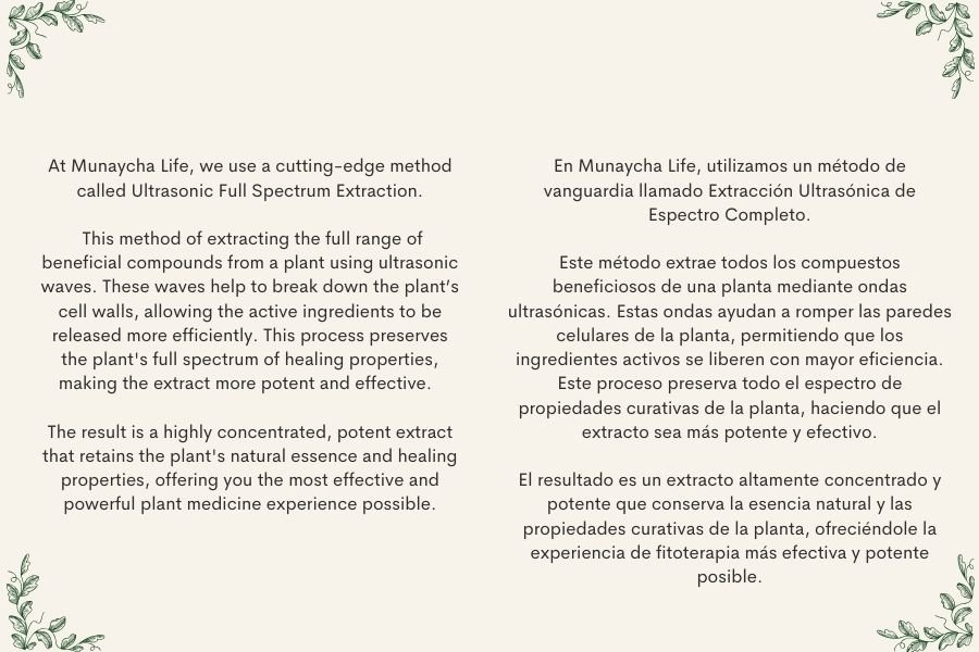 Text explaining Ultrasound Full Spectrum Extraction method used by Munaycha Life, highlighting its benefits for extracting plant compounds for healing properties in both English and Spanish, with decorative leaves in the corners.