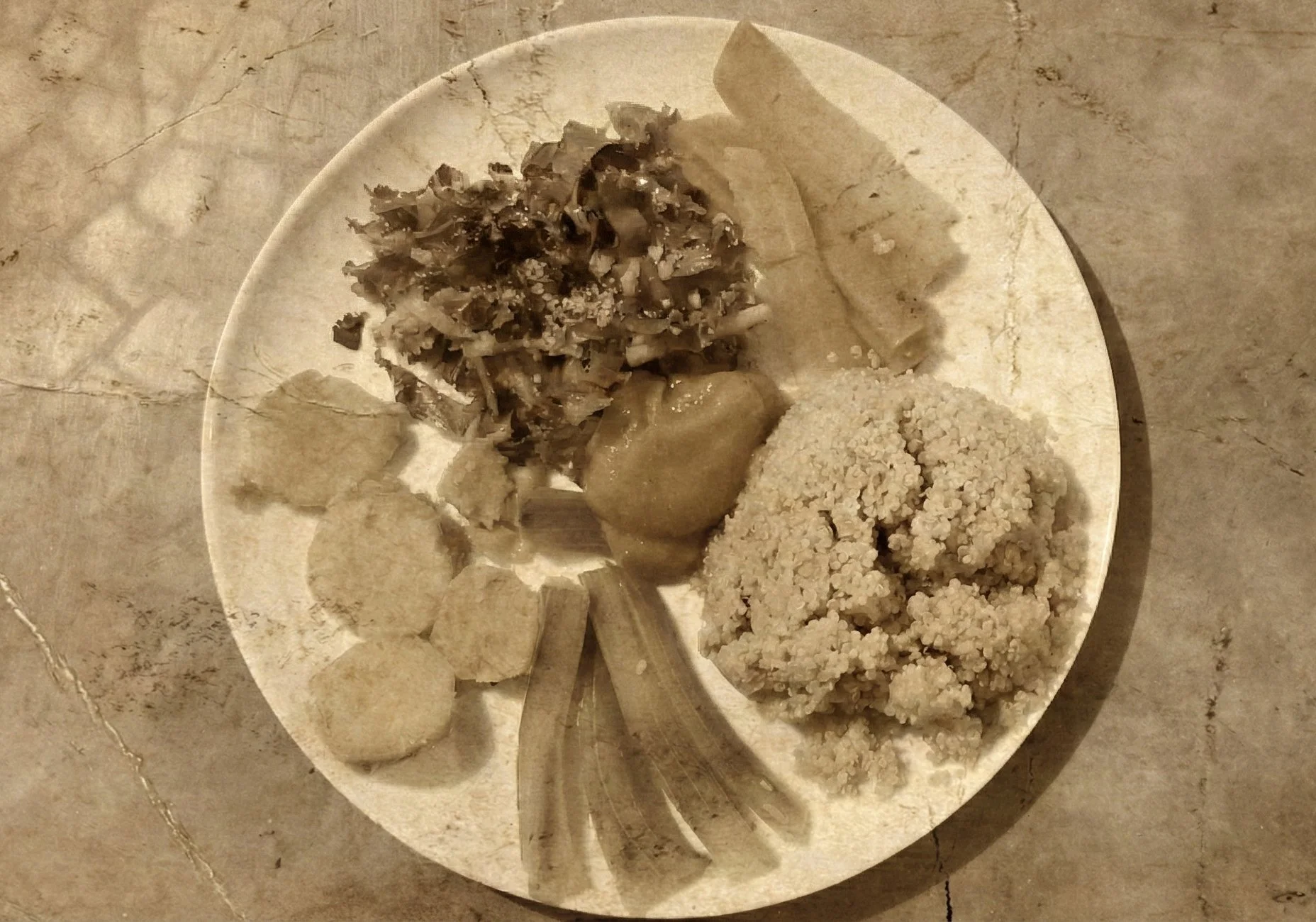 yummy-food-at-ruhani-wellness-centre-liberia-airport-costa-rica-retreats