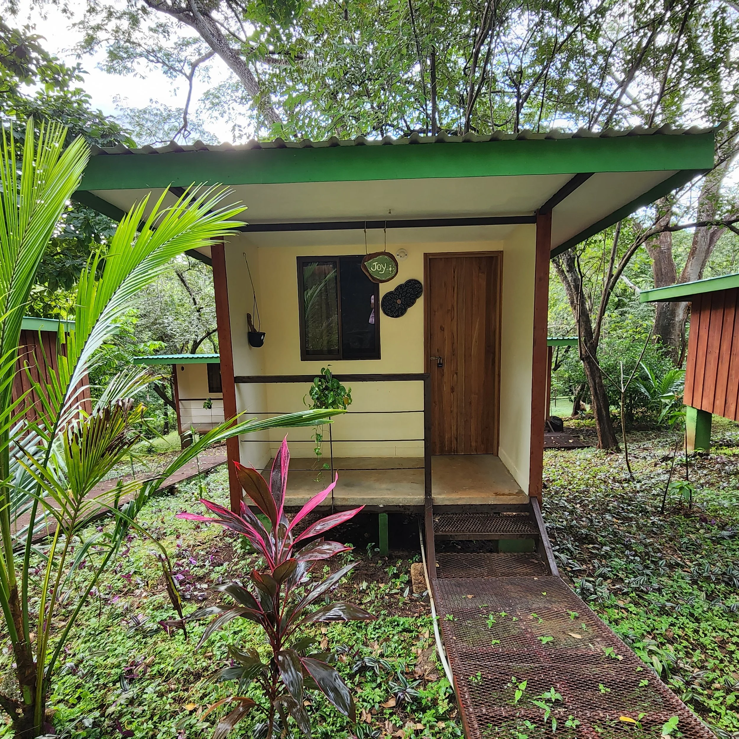 Small cabin in a lush garden with wooden door and green roof, surrounded by plants and trees.