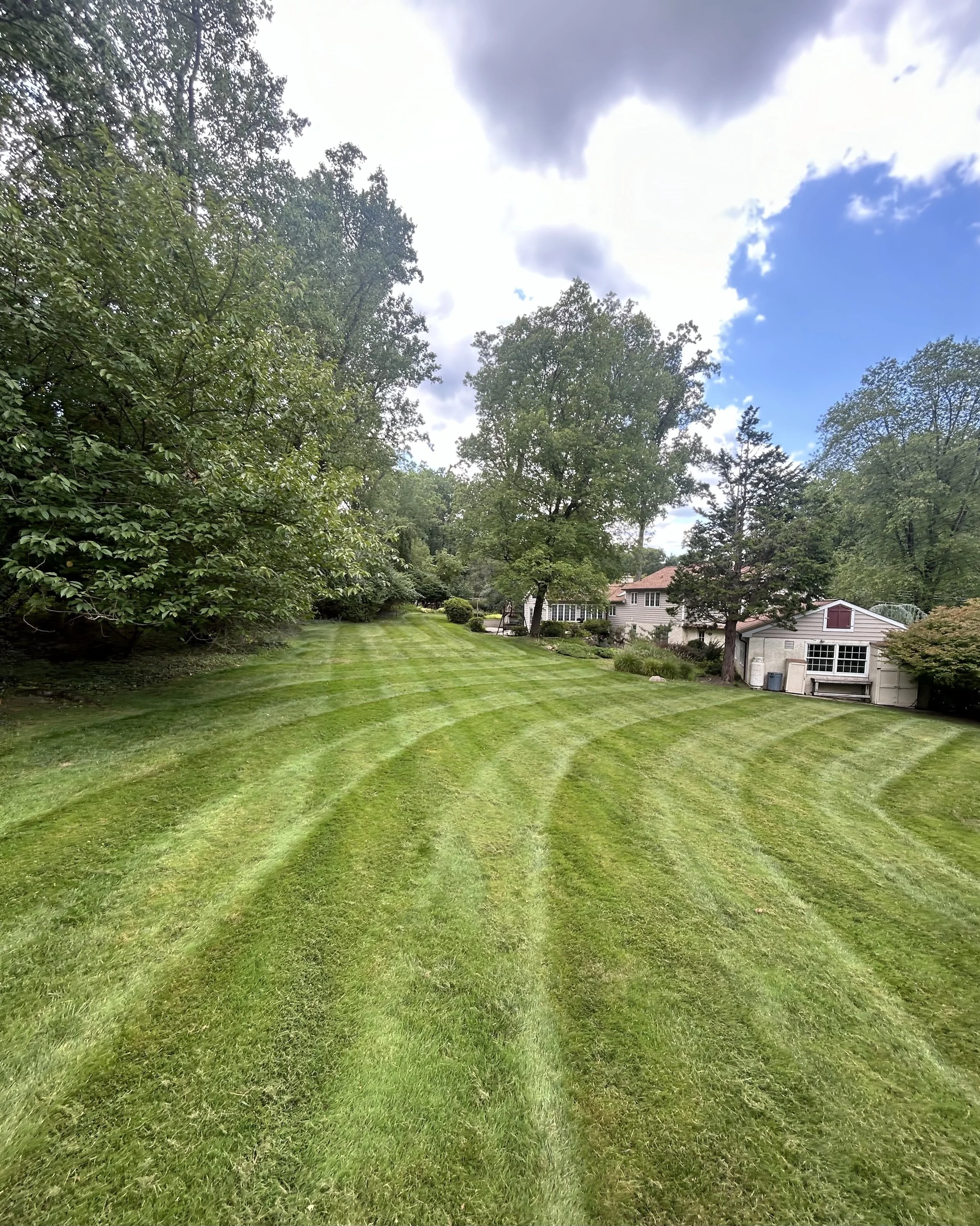 Lush green lawn with stripes of mowed grass, flanked by tall trees, leading towards houses and a shed under a partly cloudy sky.