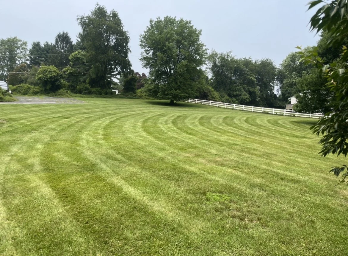 Well-manicured lawn with mowing patterns, lined by trees and a white fence.