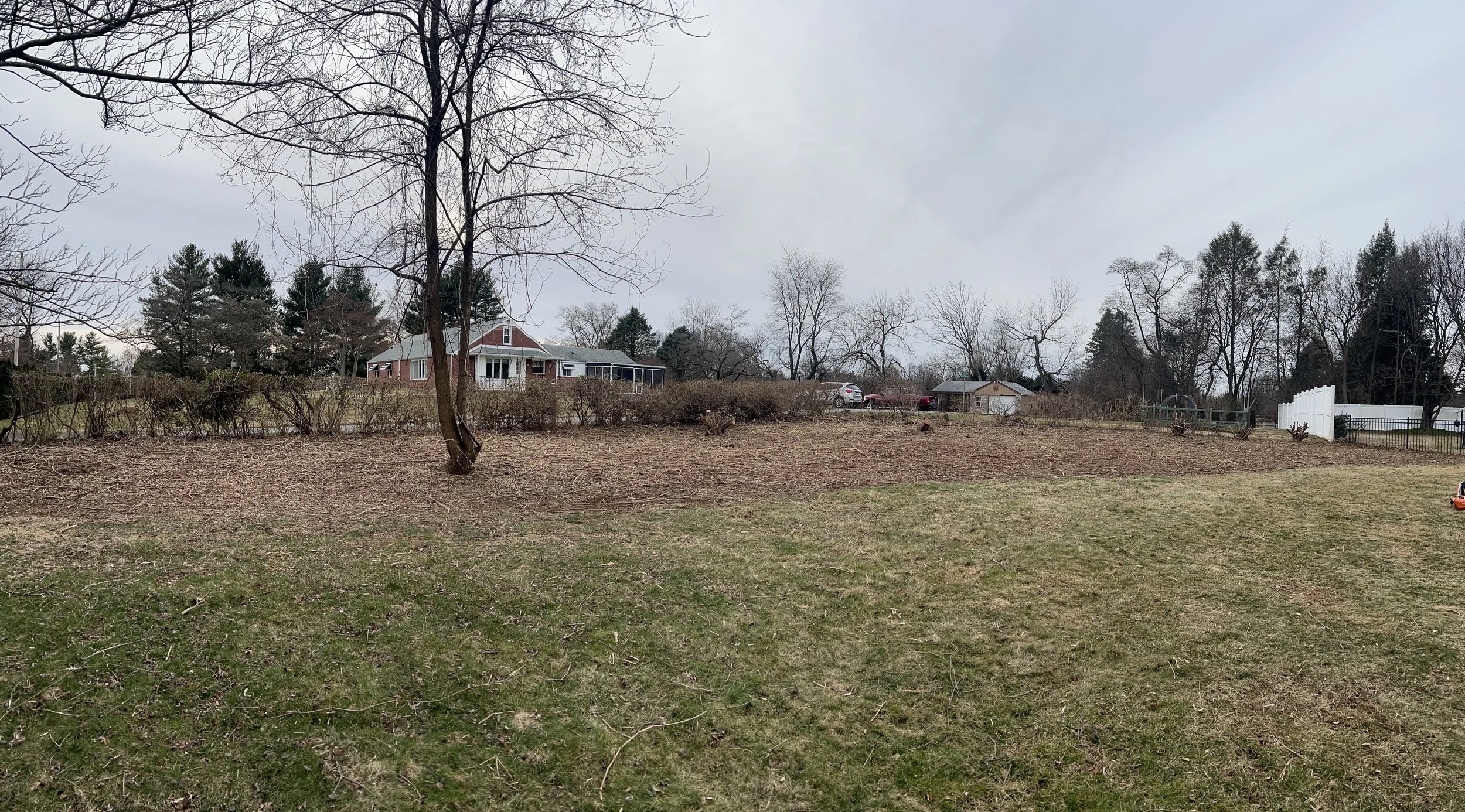 Residential backyard landscape with tree, grass, and a house in the background, cloudy sky.