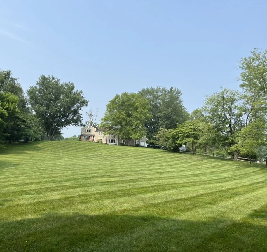 Spacious lawn with striped mowing pattern and a house surrounded by trees in the background.