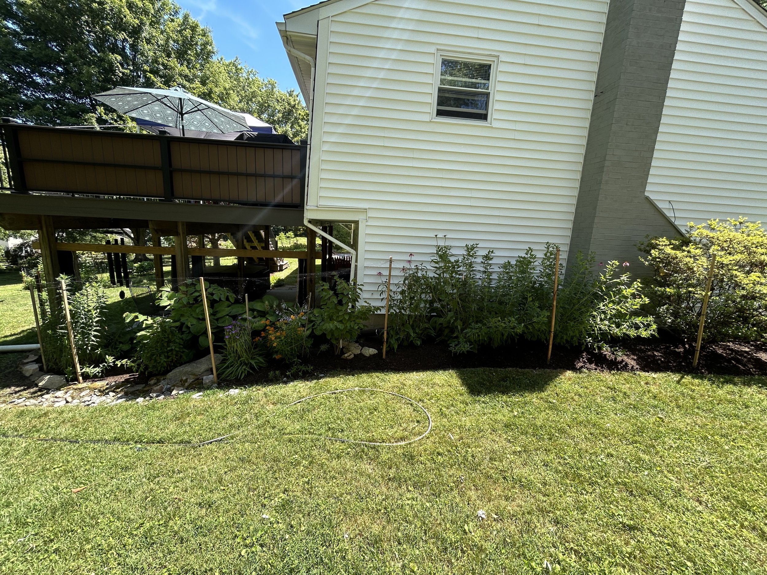 Backyard patio with white house siding, patio deck with umbrella, lush garden, green lawn, and sunny weather.