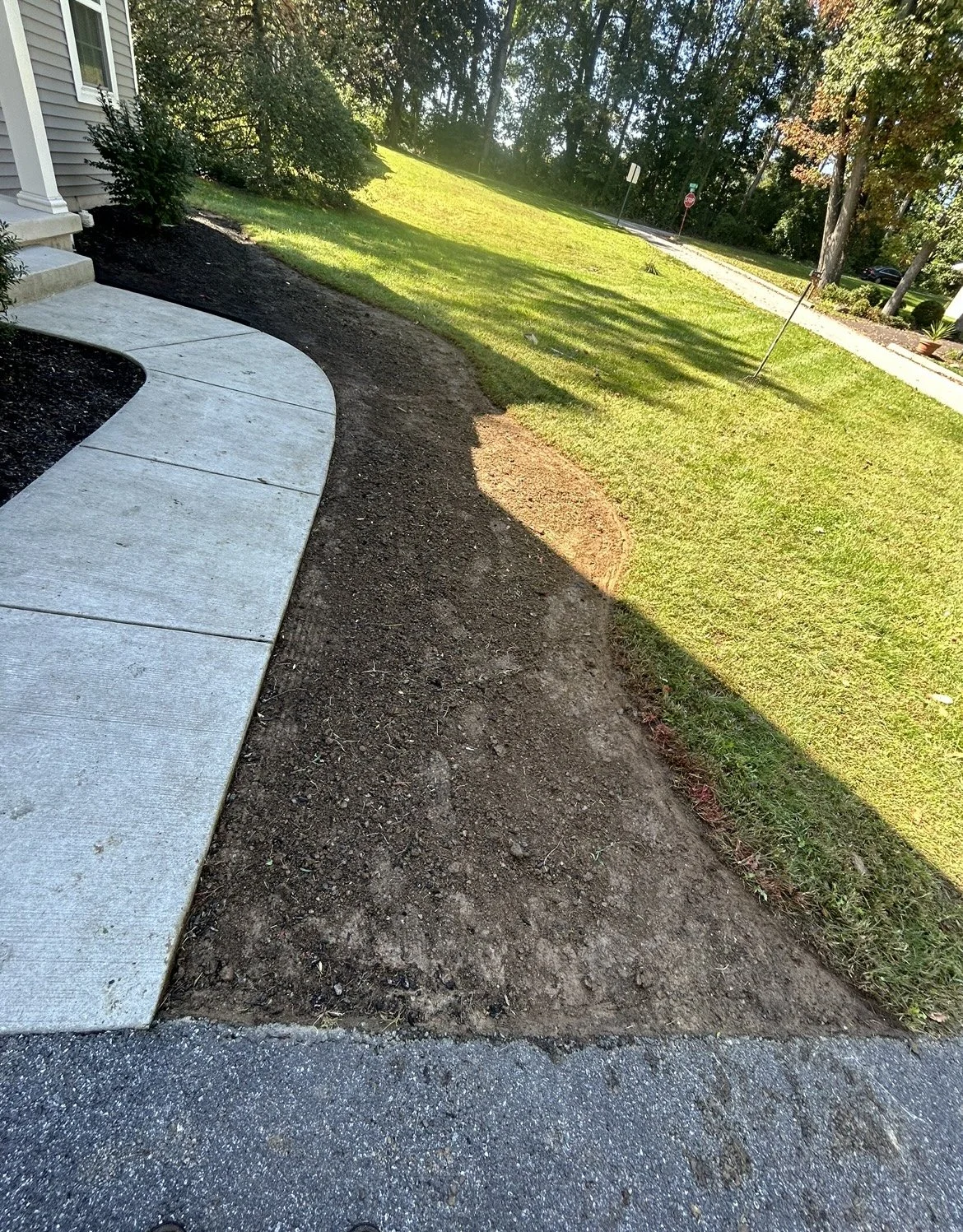 Sidewalk and grass with bare soil area, residential setting