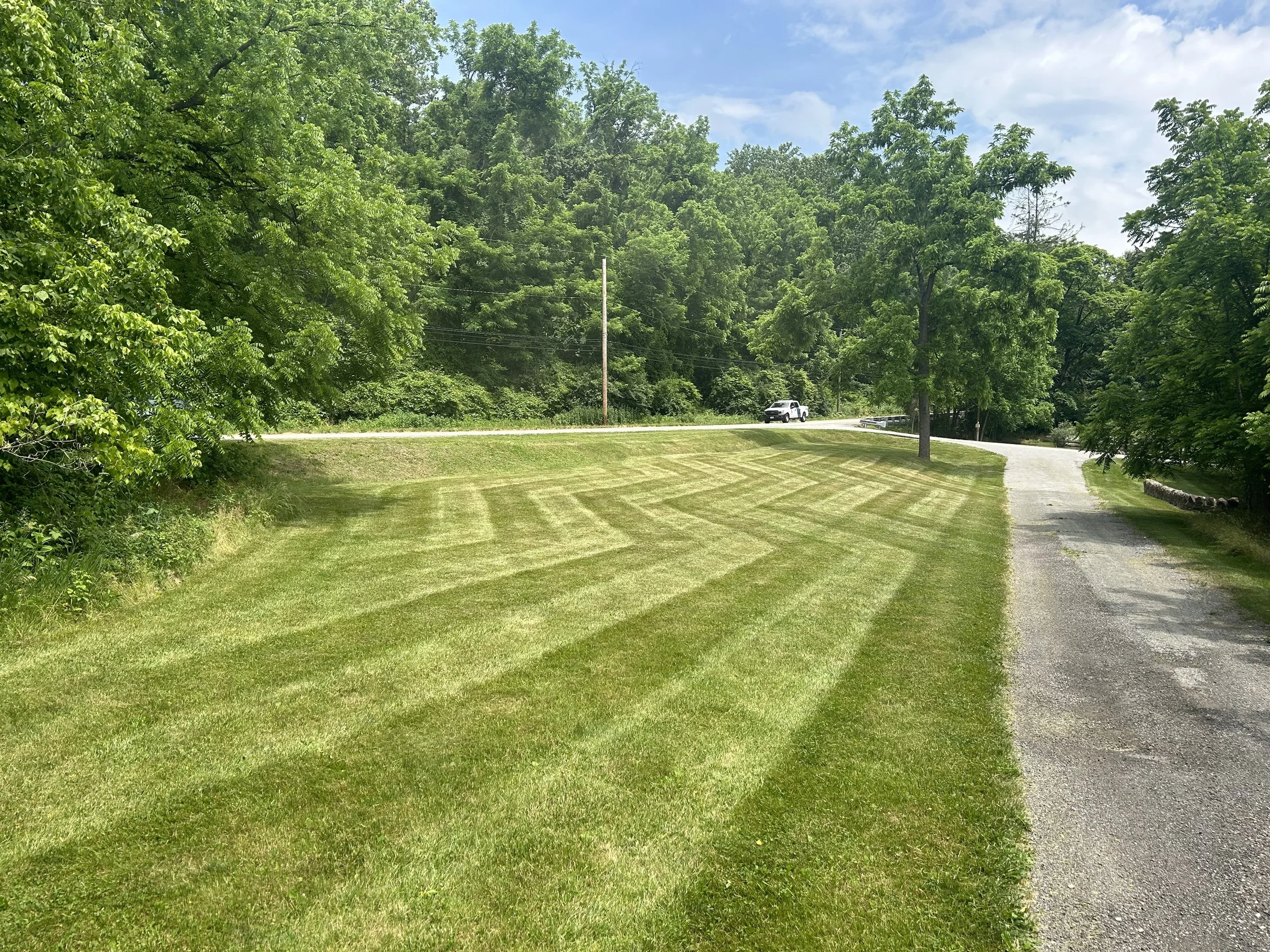 Lawn with striped mowing pattern next to a road amidst green trees on a sunny day.