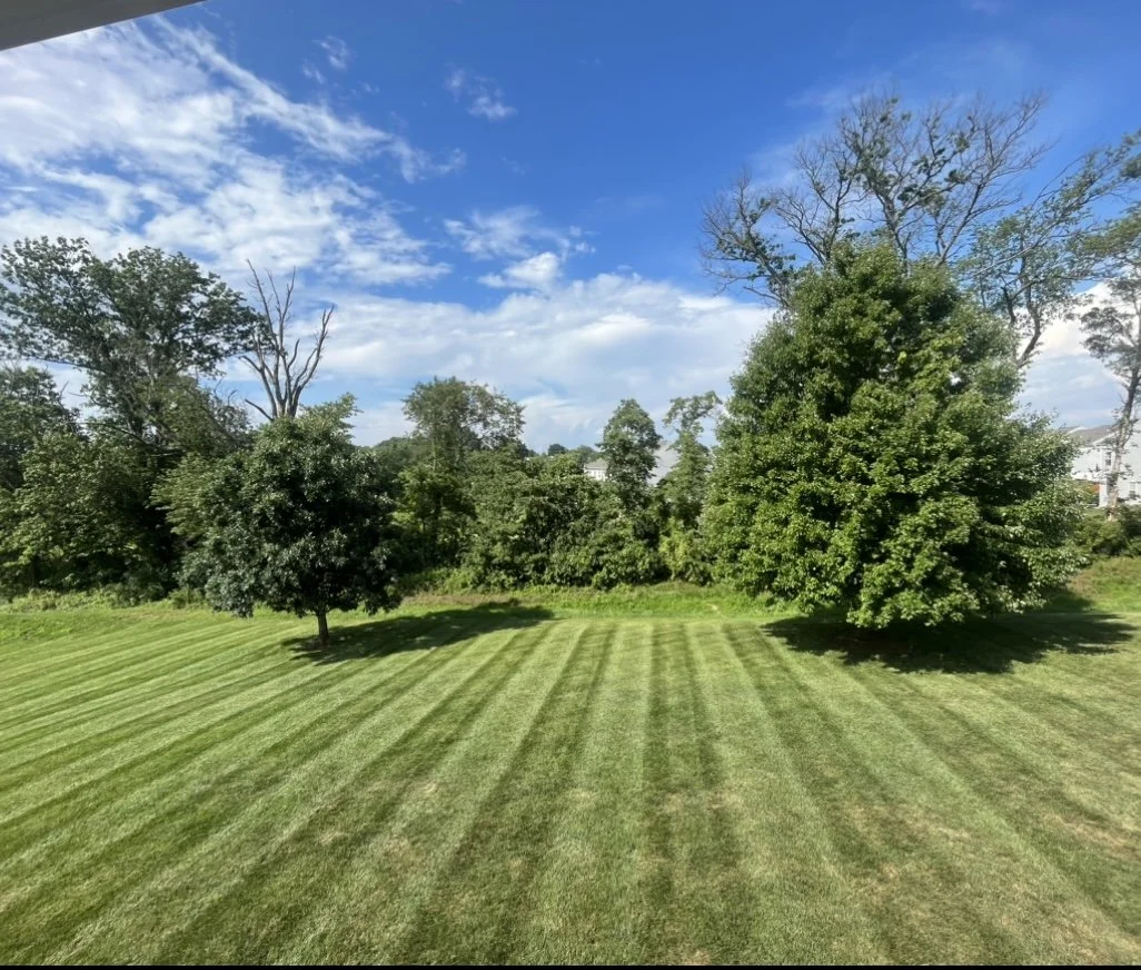 Well-manicured lawn with trees under a blue sky