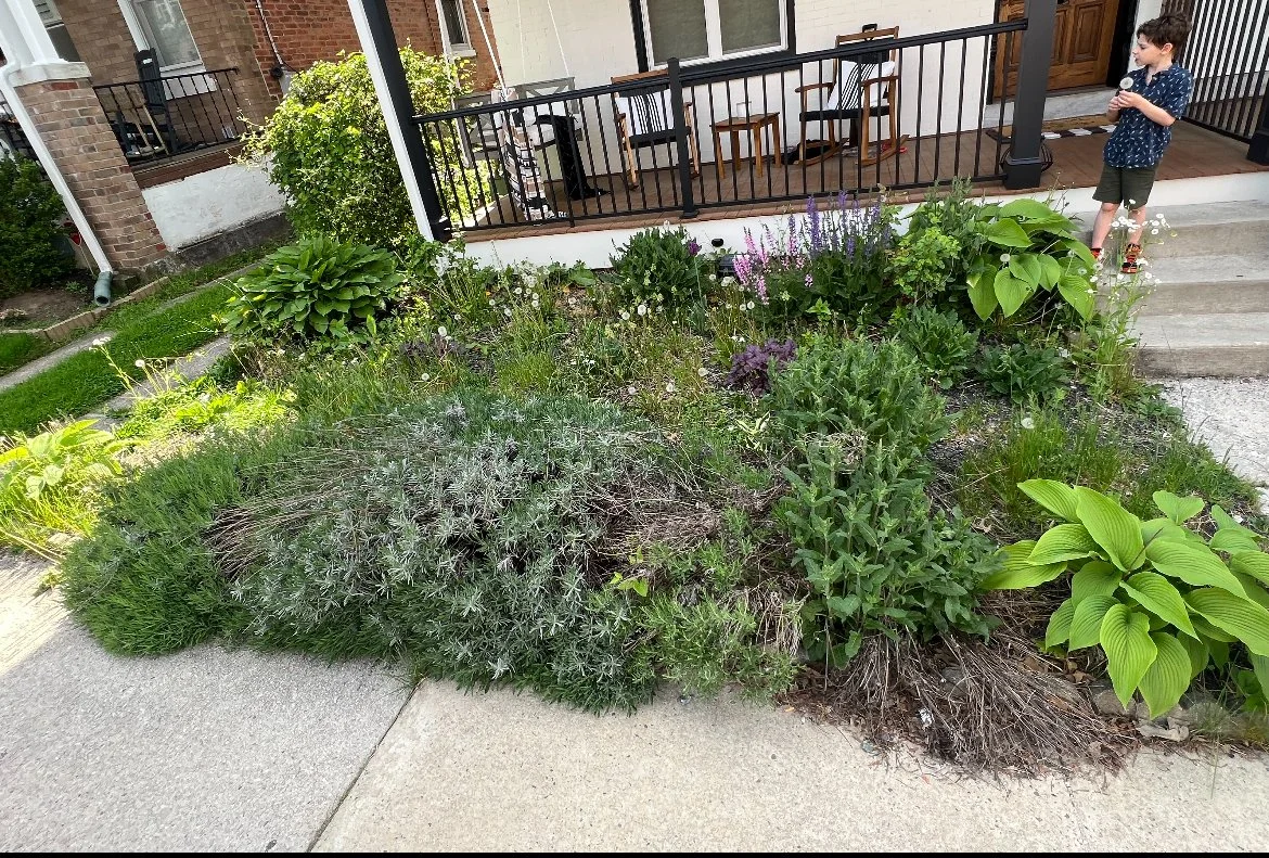 garden with various plants and herbs in front of a porch