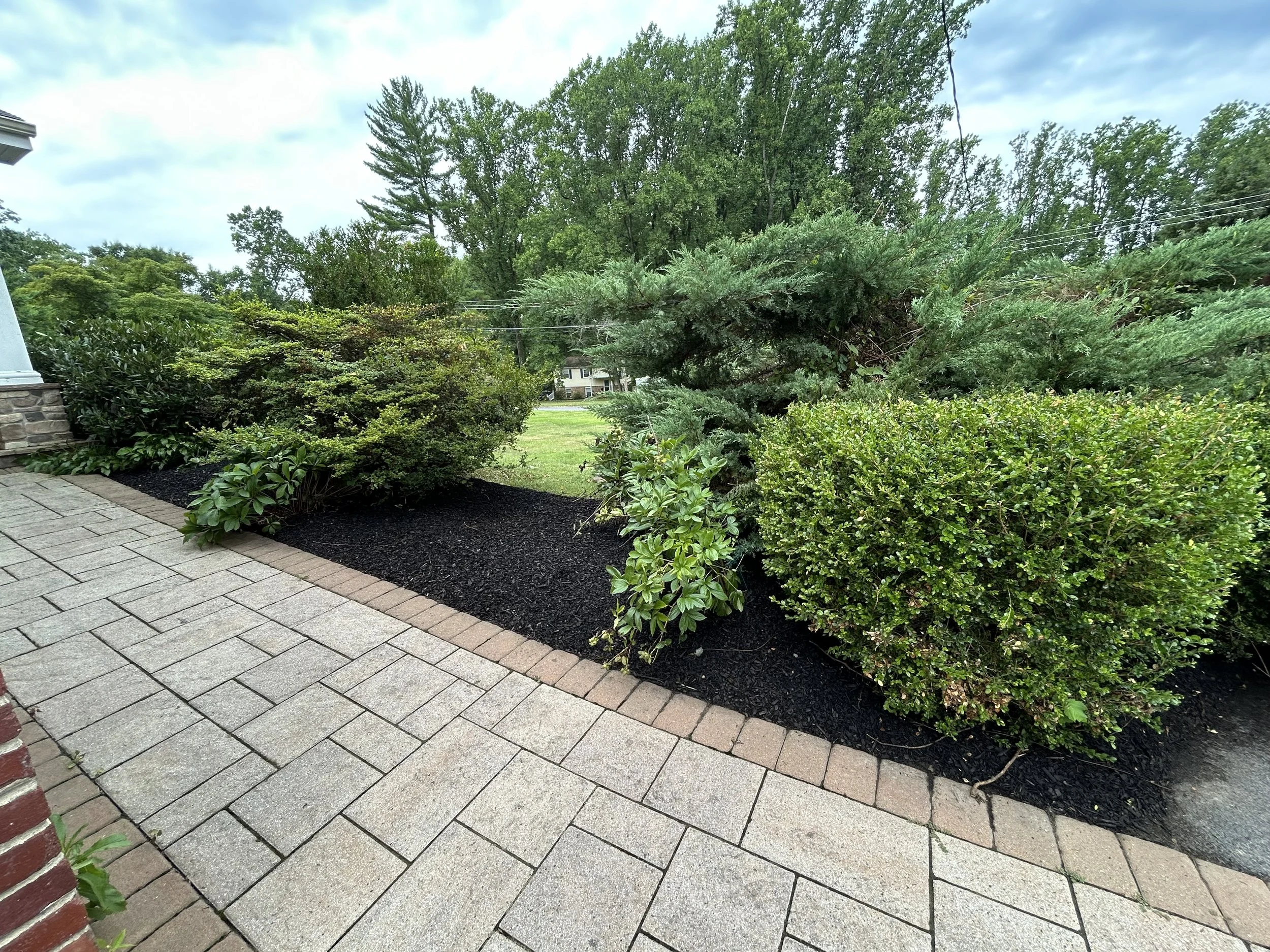 Landscape with well-maintained bushes, a tiled walkway, and trees in the background under a cloudy sky.